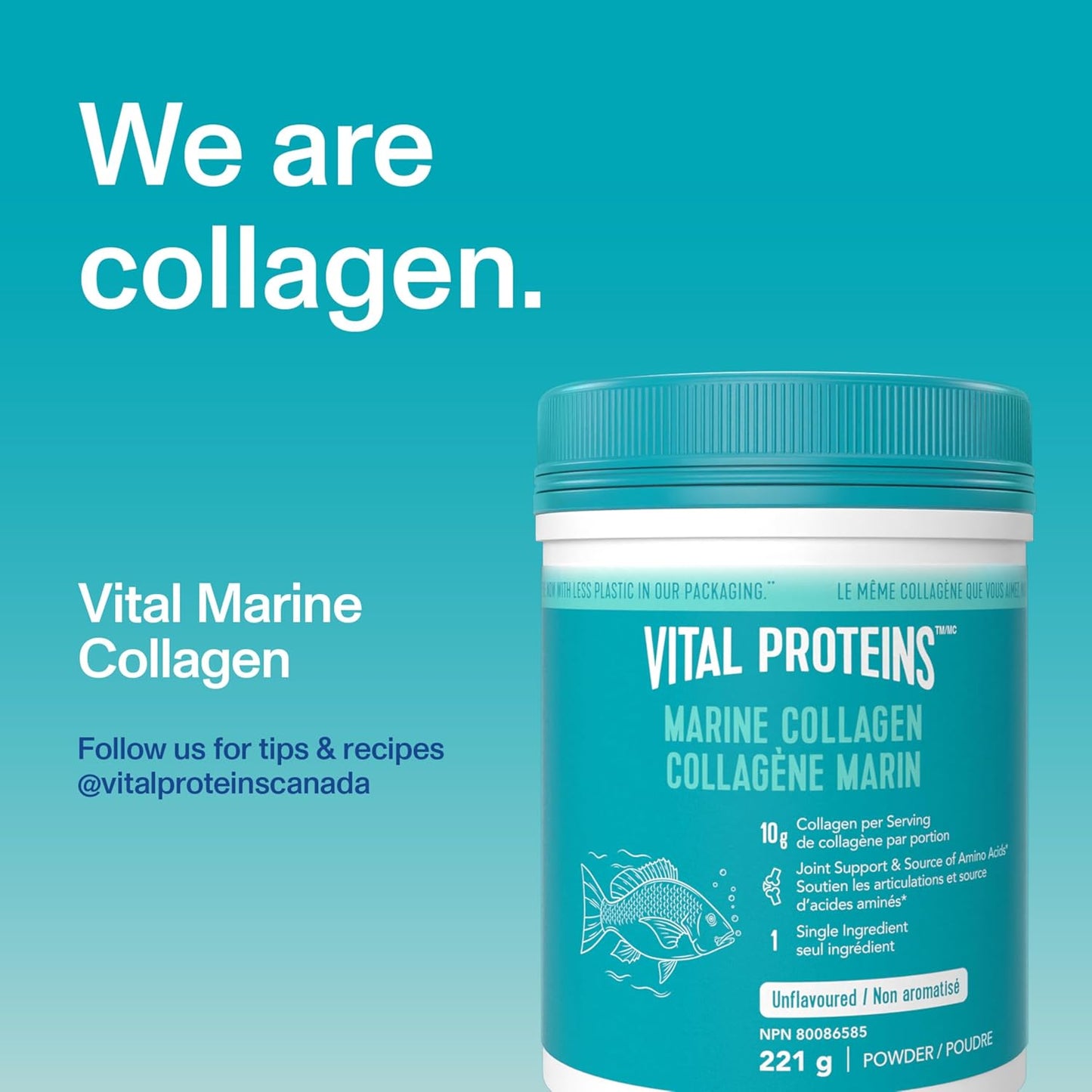 VITAL PROTEINS 海洋胶原蛋白肽粉,有助于形成胶原蛋白并减轻与骨关节炎相关的关节疼痛,氨基酸来源,不添加糖,不含人工色素或香料,221 克