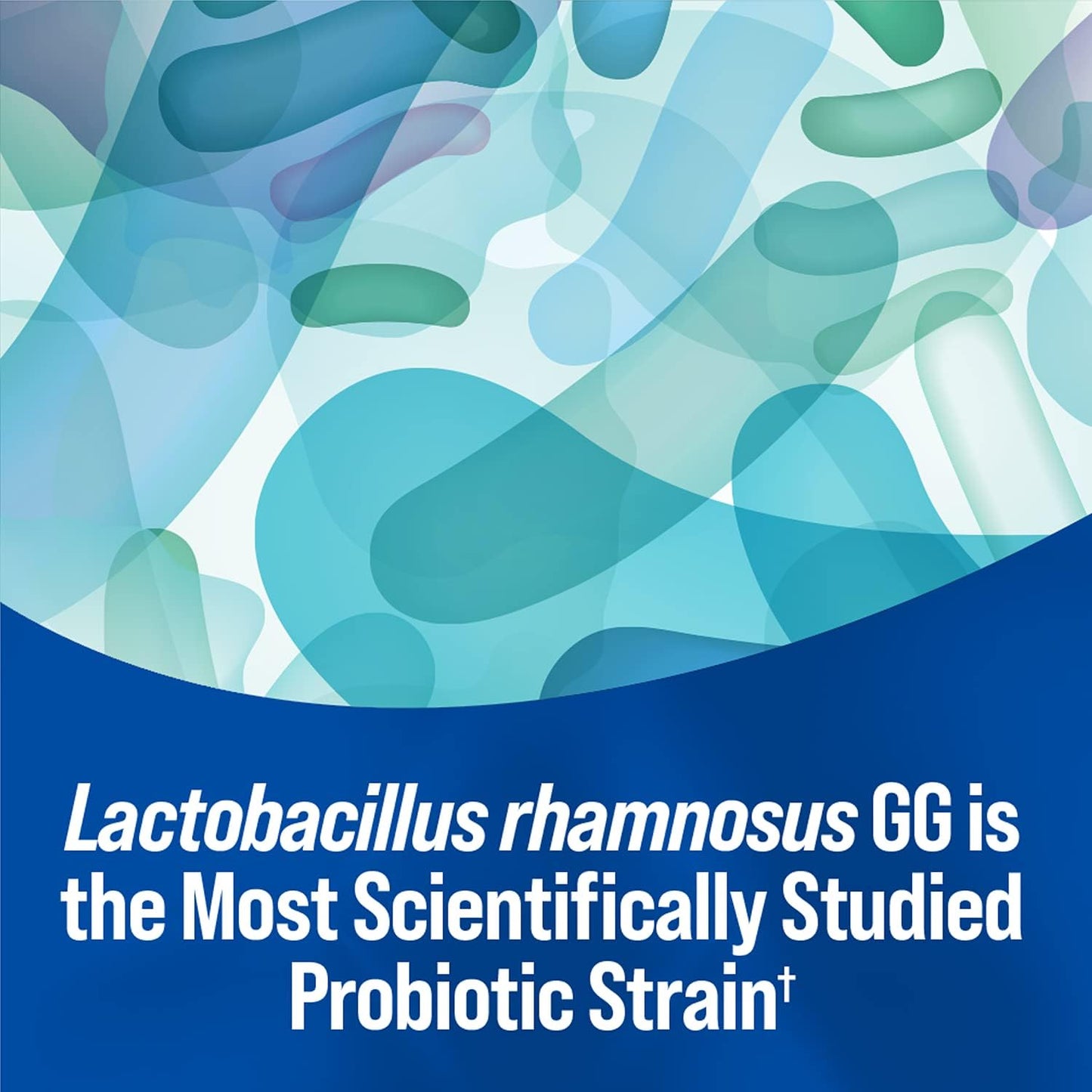 Culturelle Kids Immune Defense, Probiotic + Elderberry, Vitamin C and Zinc & Kids Daily Probiotic Packets for Kids | With 100% Naturally Sourced Lactobacillus GG Strain †††††† | 30 Count Packets