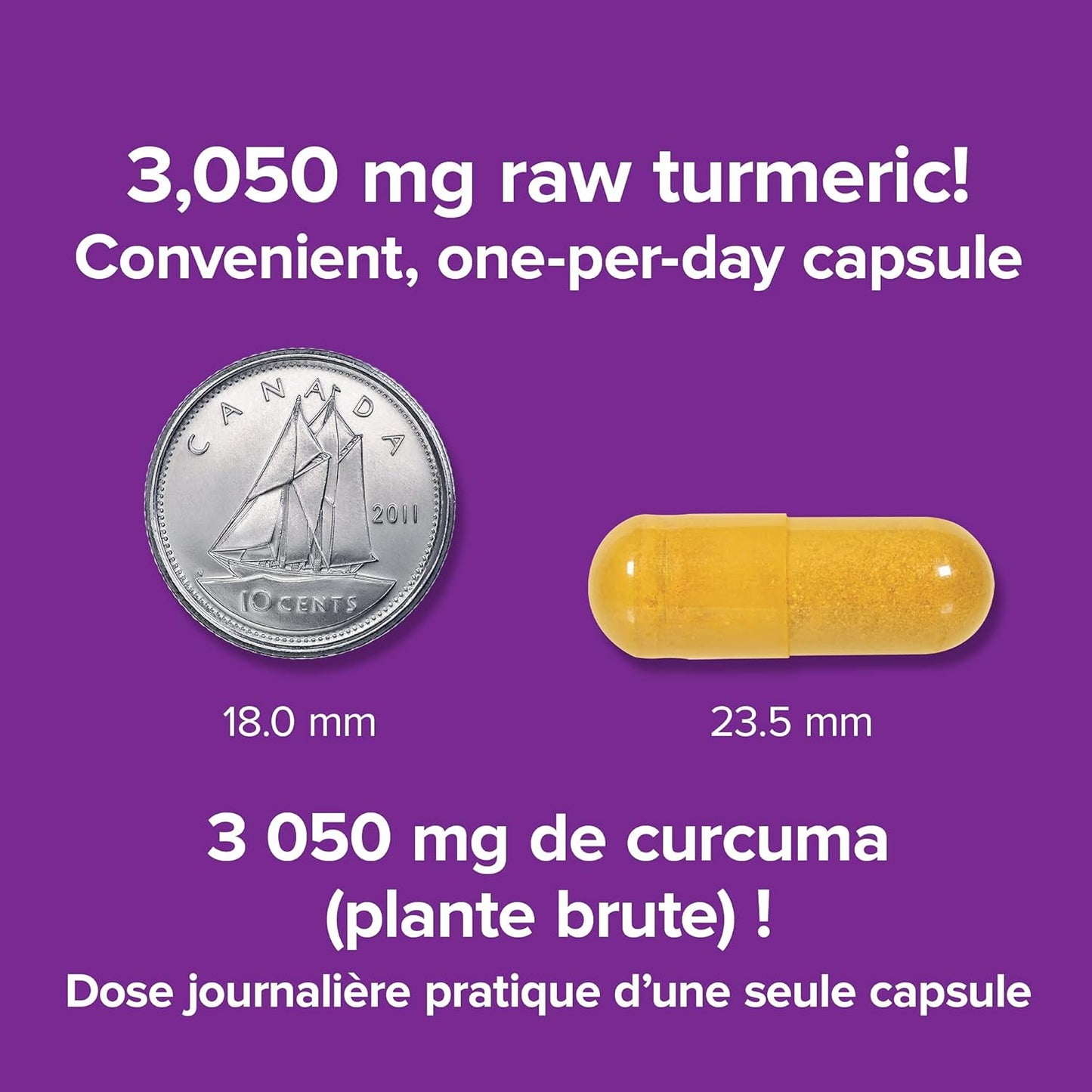 Webber Naturals 薑黃素,3,050 毫克生草本,120 粒膠囊,抗氧化支持,純素