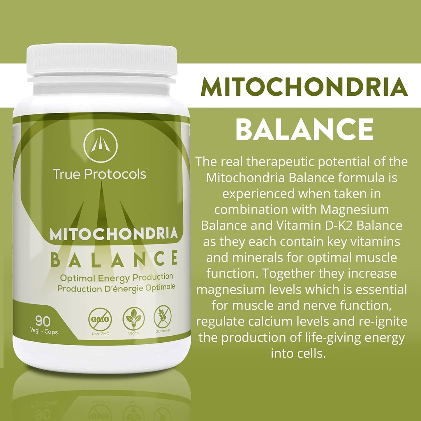 TRUE PROTOCOLS - 粒線體平衡 - 左旋肉鹼 (250 毫克) + 輔酶 Q10 (100 毫克) + PQQ (2.5 毫克) + 維生素 B1、B2、B3、B5、B12 + 葉酸 - 90 粒非瀉藥和高吸收素食膠囊 - 恢復粒線體功能 + ...