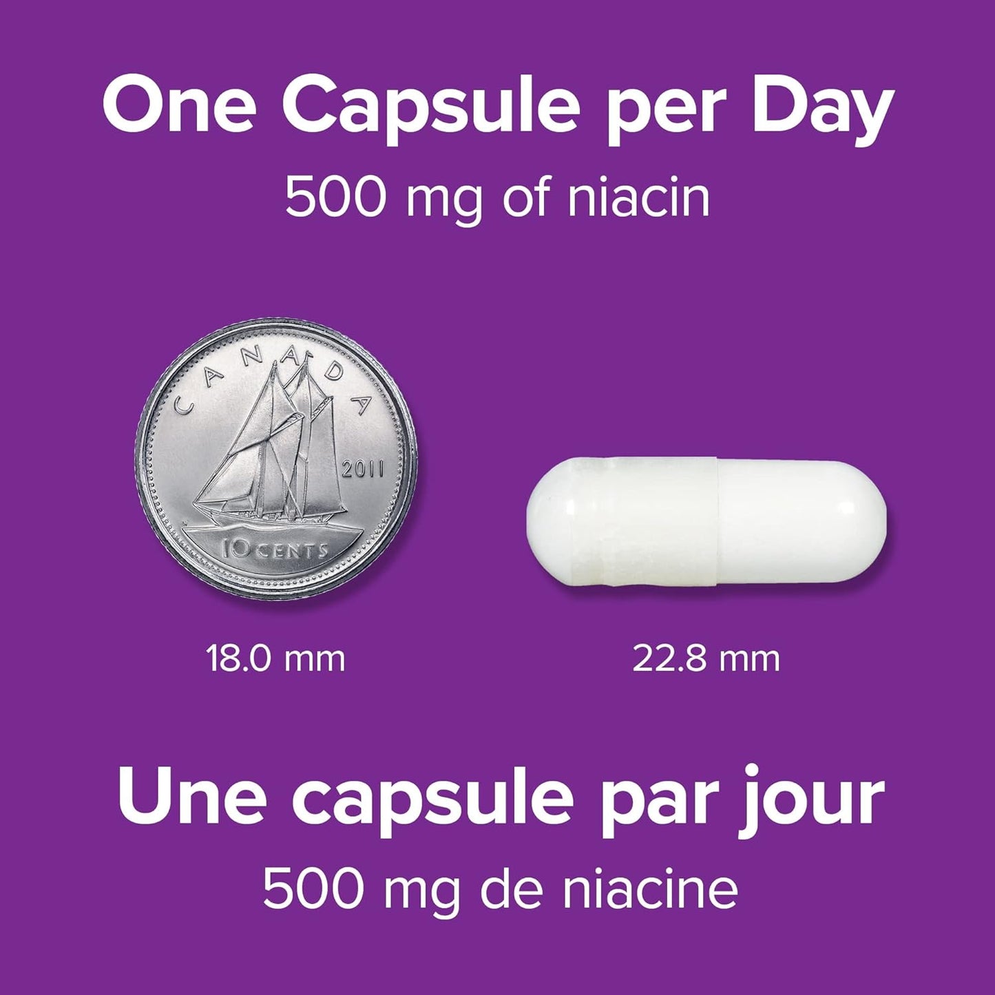 Webber Naturals Niacin 500 mg, 90 Capsules, No Flush, Vitamin B3 Supplement, Supports Energy Production and Metabolism