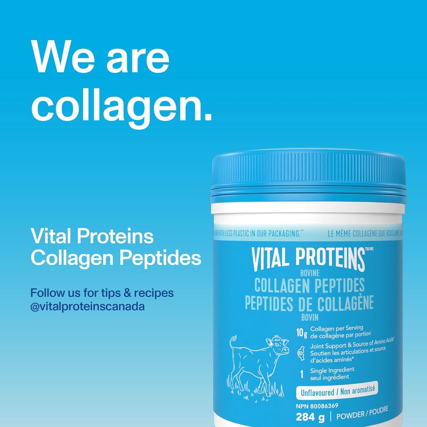 VITAL PROTEINS 牛胶原蛋白粉,水解胶原蛋白(每份)- 无味,284 克