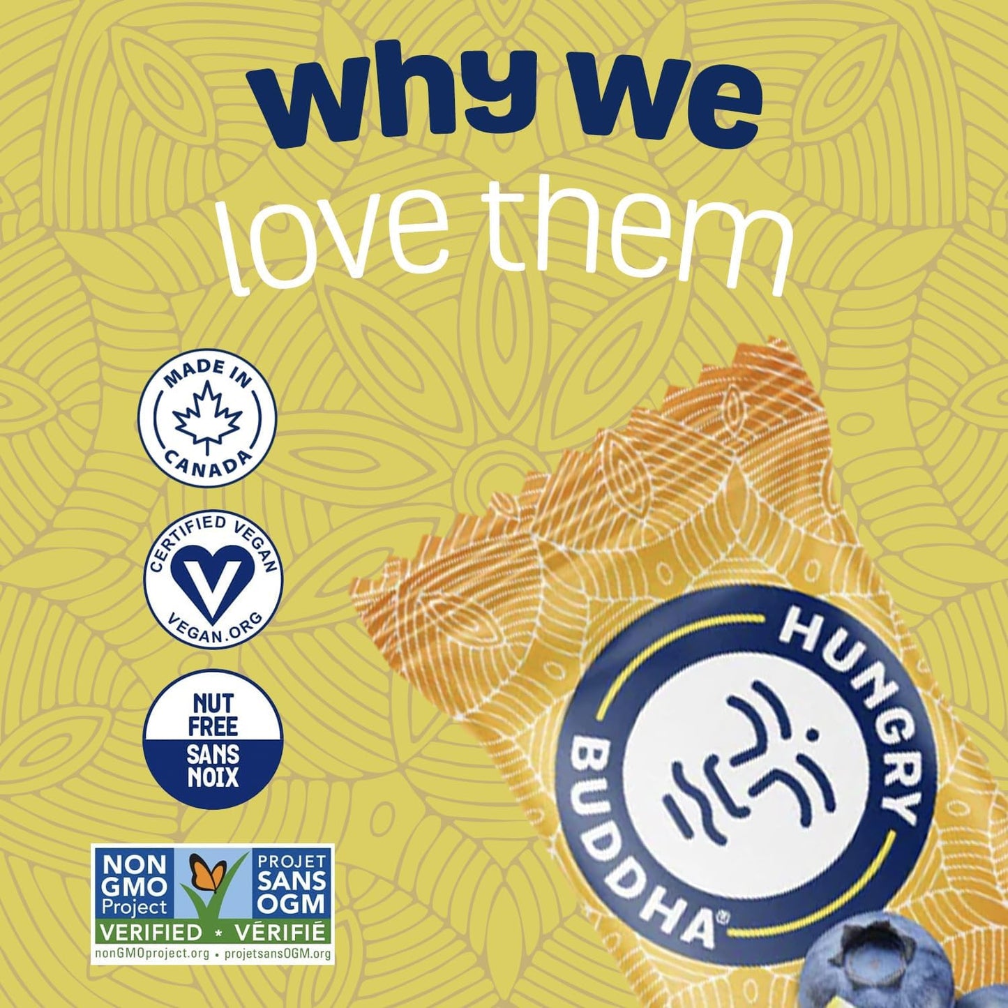 HUNGRY BUDDHA Plant-Based Protein Bars, Low Sugar, High Protein Energy Snack, Dairy-Free & Peanut-Free, Pack of 12, Lemon Blueberry