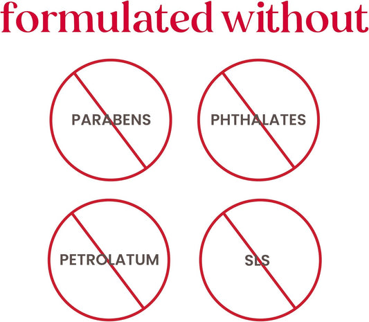 Burt's Bees 100% 天然保濕潤唇膏,適用於乾燥皸裂的嘴唇,讓雙唇柔軟水潤 - 3 支裝 - (舒適季節)糖餅乾、蔓越莓噴霧、鹹焦糖