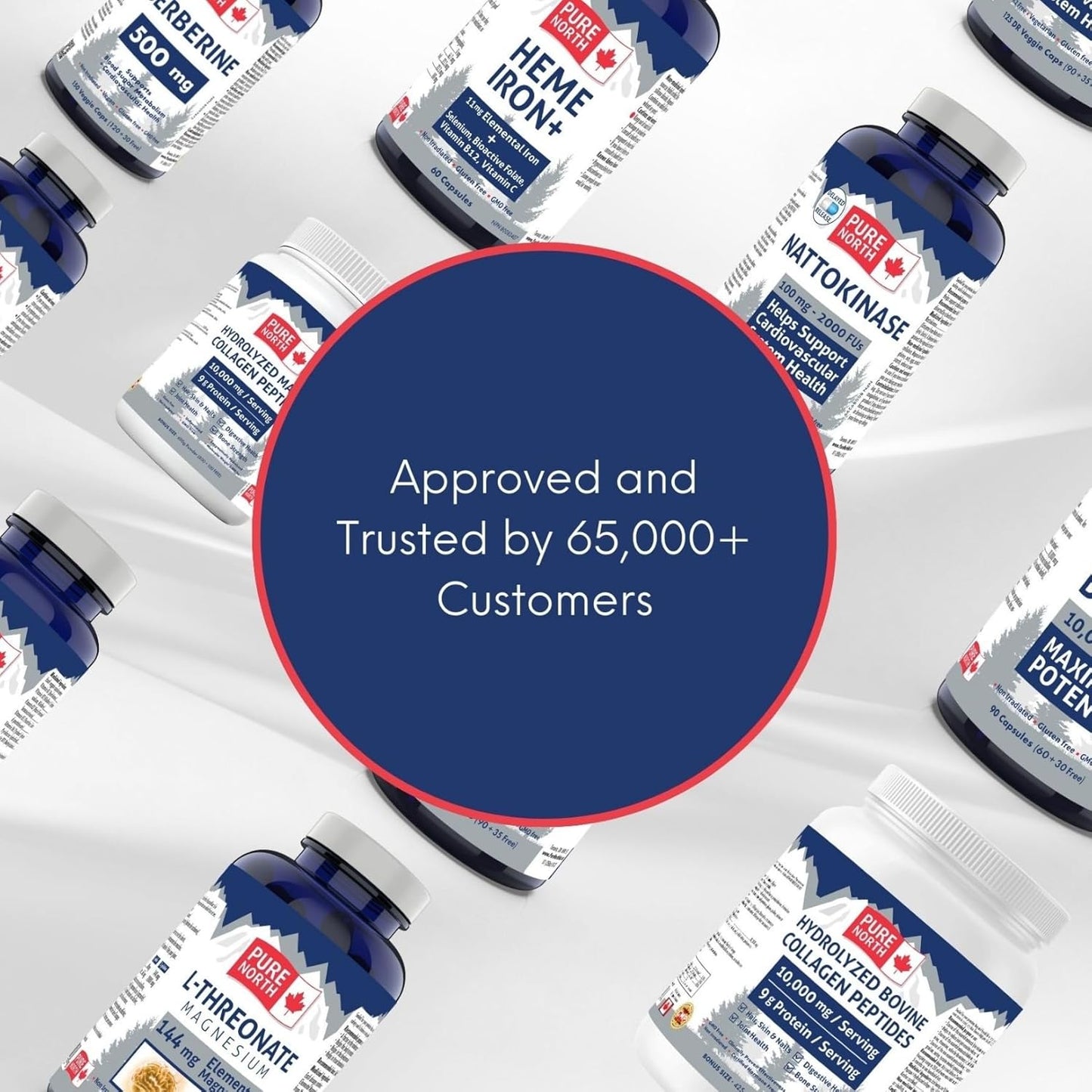 Pure North Naturals - 小蘗鹼 500 毫克,150 粒素食膠囊,75 天用量 - 支持血糖代謝 + 心血管健康和腸道健康 - 經第三方測試 - 加拿大配製和製造