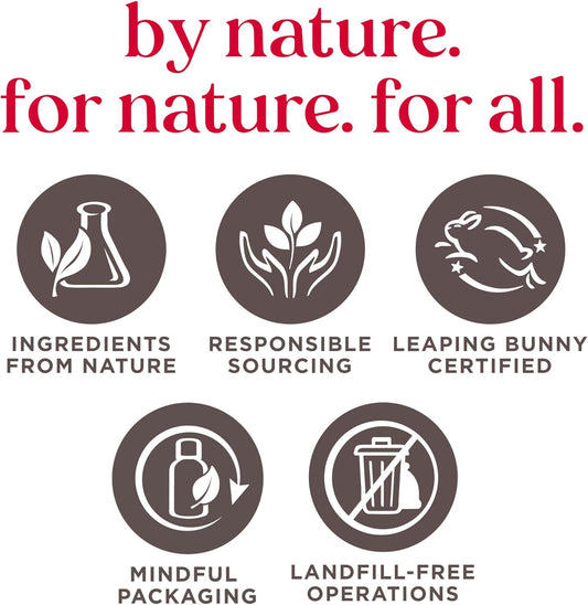 Burt’s Bees 盛开润唇膏套装 - 男女通用,4 件装(原味蜂蜡、火龙果柠檬、热带菠萝、草莓)每件 0.15 盎司