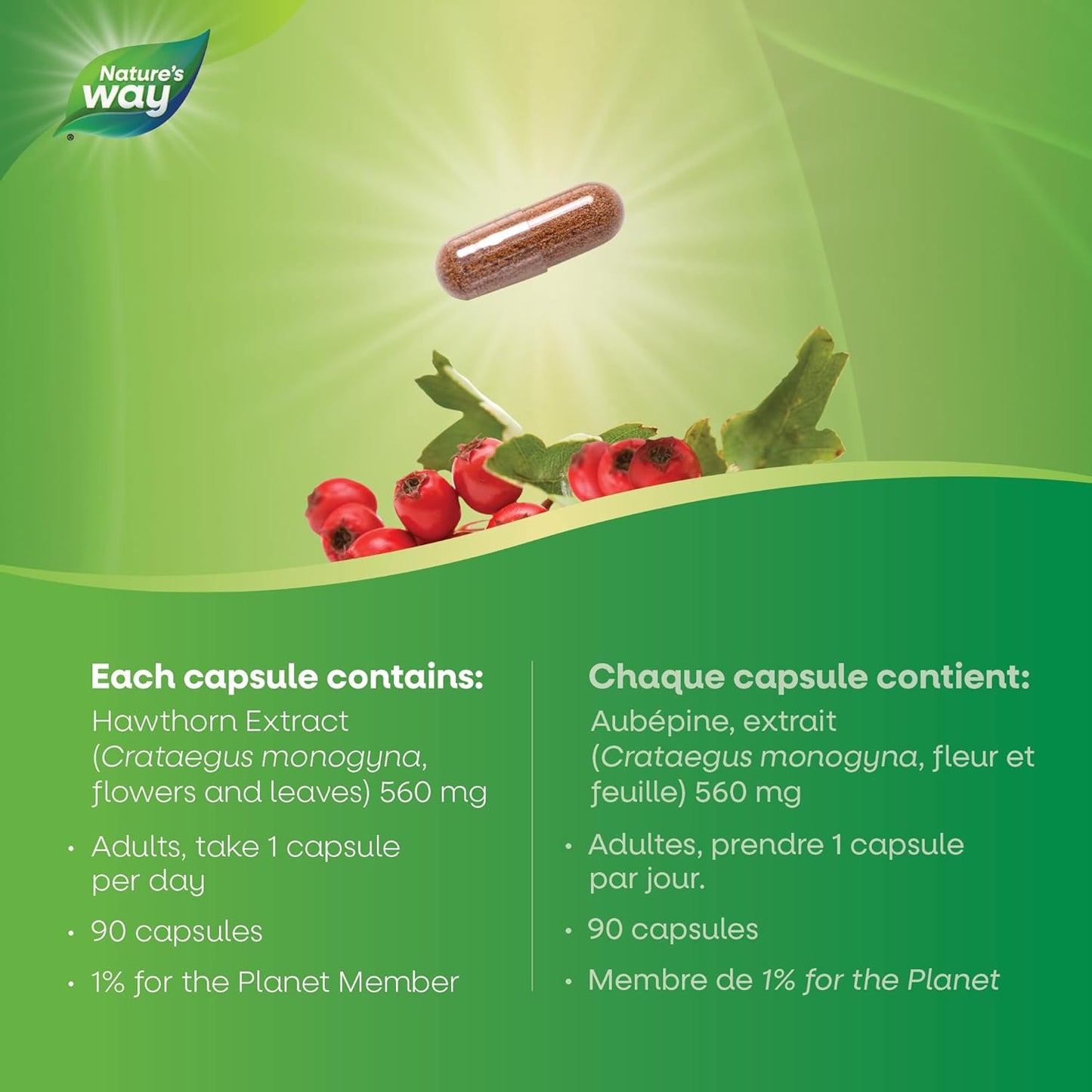 Nature's Way Premium Hawthorn Extract Capsules - Cardiovascular Health Support, Used in Herbal Medicine, 90 Vegetarian Capsules
