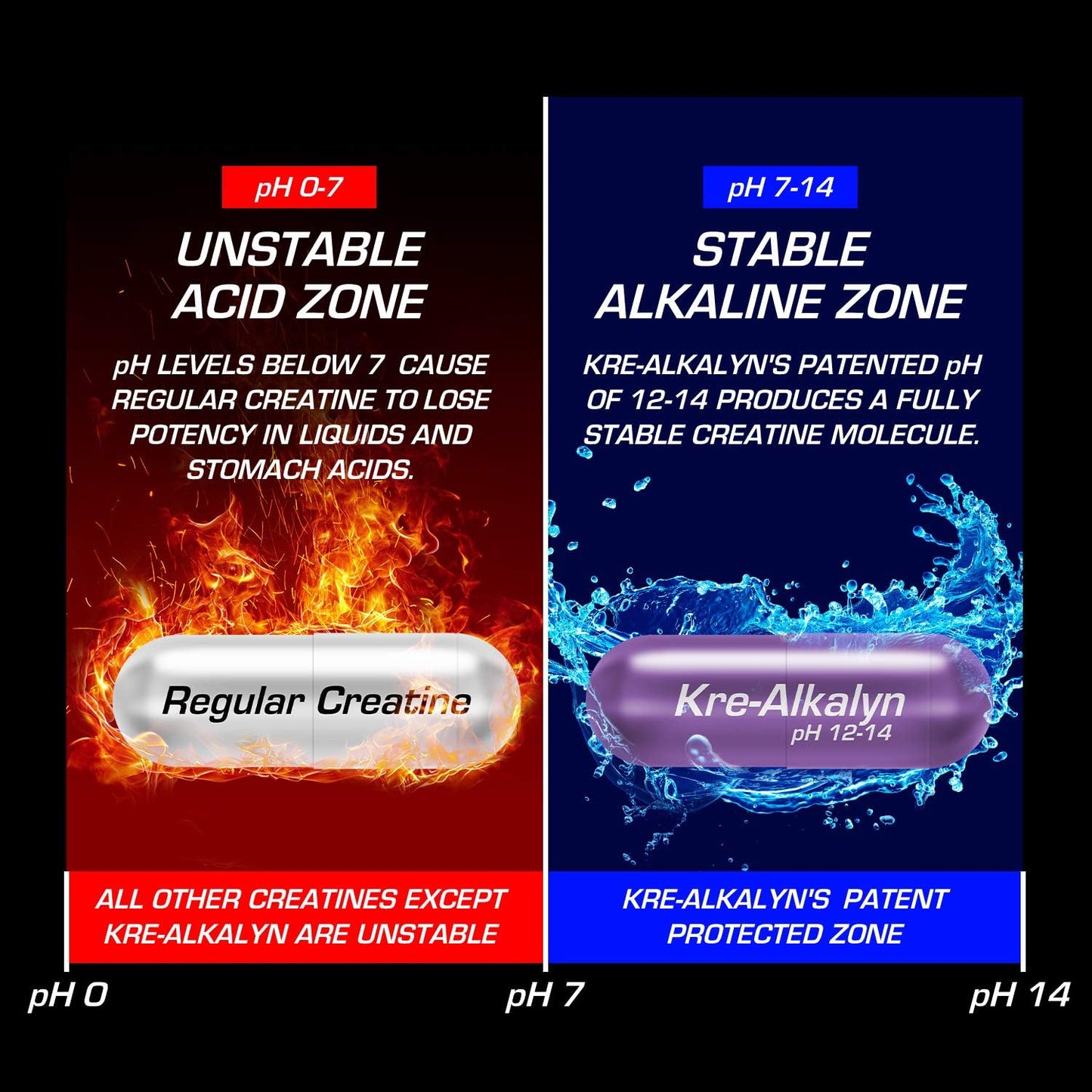 EFX Sports Kre-Alkalyn | PH 值校正肌酸一水合物 | 多项专利配方,增强力量,锻炼肌肉,提升运动表现,不腹胀,不积水 - 192 粒胶囊