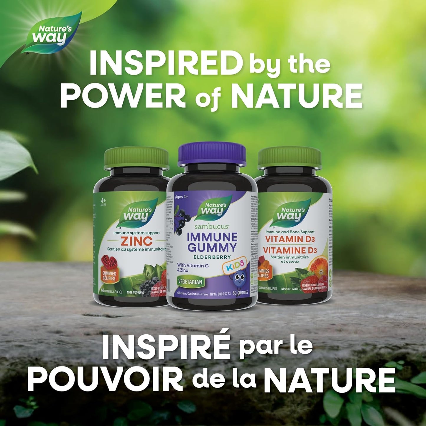 Nature's Way 接骨木免疫感冒和流感护理接骨木软糖,含维生素 C 和锌 - 为 4 岁以上儿童提供免疫支持,60 粒软糖