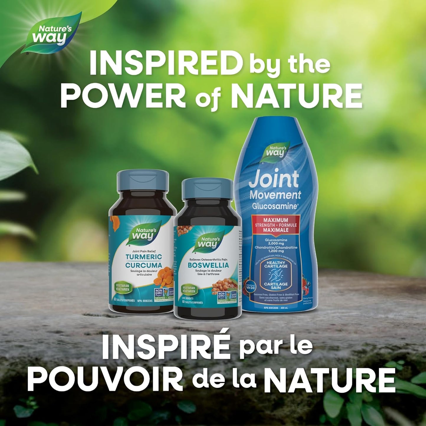 Nature's Way Boswellia, Helps Relieve Osteoarthritic Pain, 120 Vegetarian Tablets, Value Size