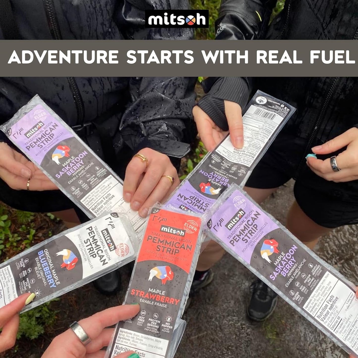 Bison Blueberry Pemmican Meat Snack | Indigenous Superfood | Made w/Grass-Fed Bison | Canadian, Indigenous-Owned | High Protein, Gluten-Free, Soy-Free, 4-Pack