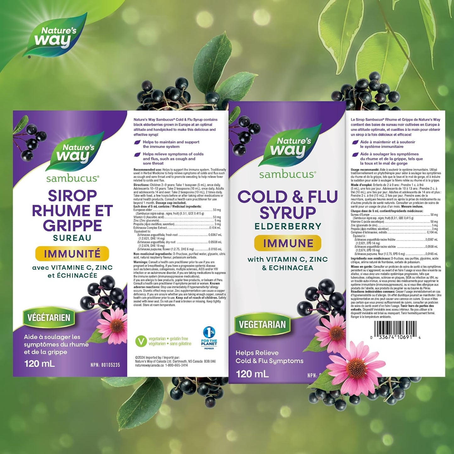 Nature's Way 接骨木感冒和流感护理免疫维生素 C 和锌 - 接骨木糖浆与紫锥菊和蜂胶 - 用于缓解 2 岁以上儿童和成人症状的草药,120 毫升