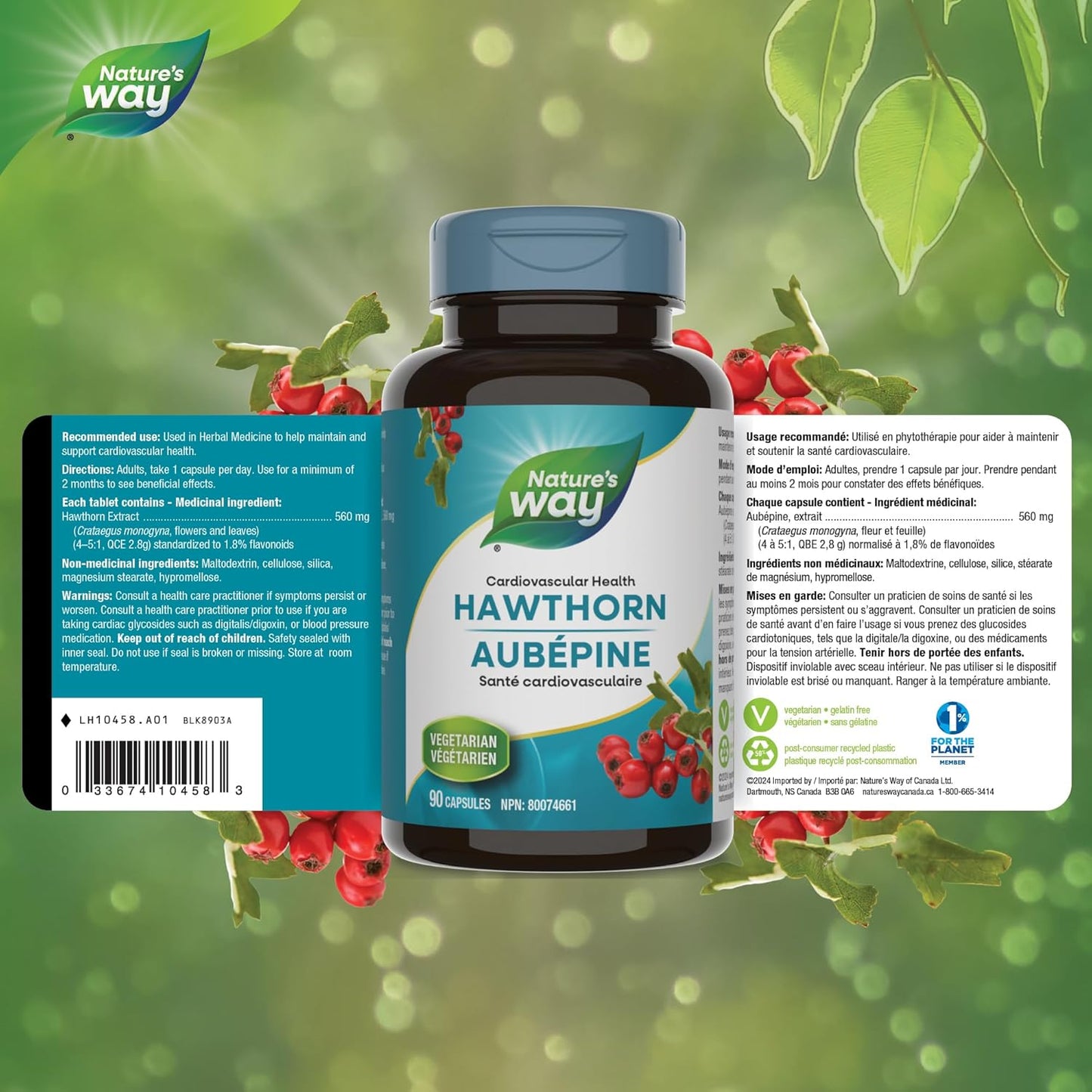 Nature's Way Premium Hawthorn Extract Capsules - Cardiovascular Health Support, Used in Herbal Medicine, 90 Vegetarian Capsules
