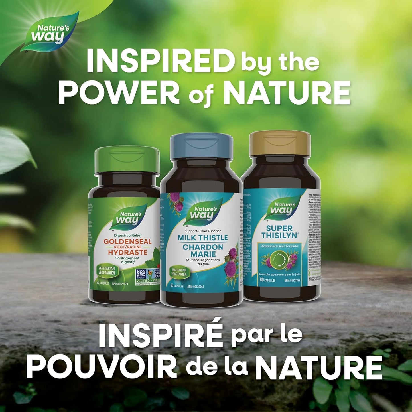 Nature’s Way 奶蓟草 – 肝功能支持与保护剂,295毫克奶蓟草,120粒素食胶囊 – 有益肝脏健康的草本补充剂,不含麸质