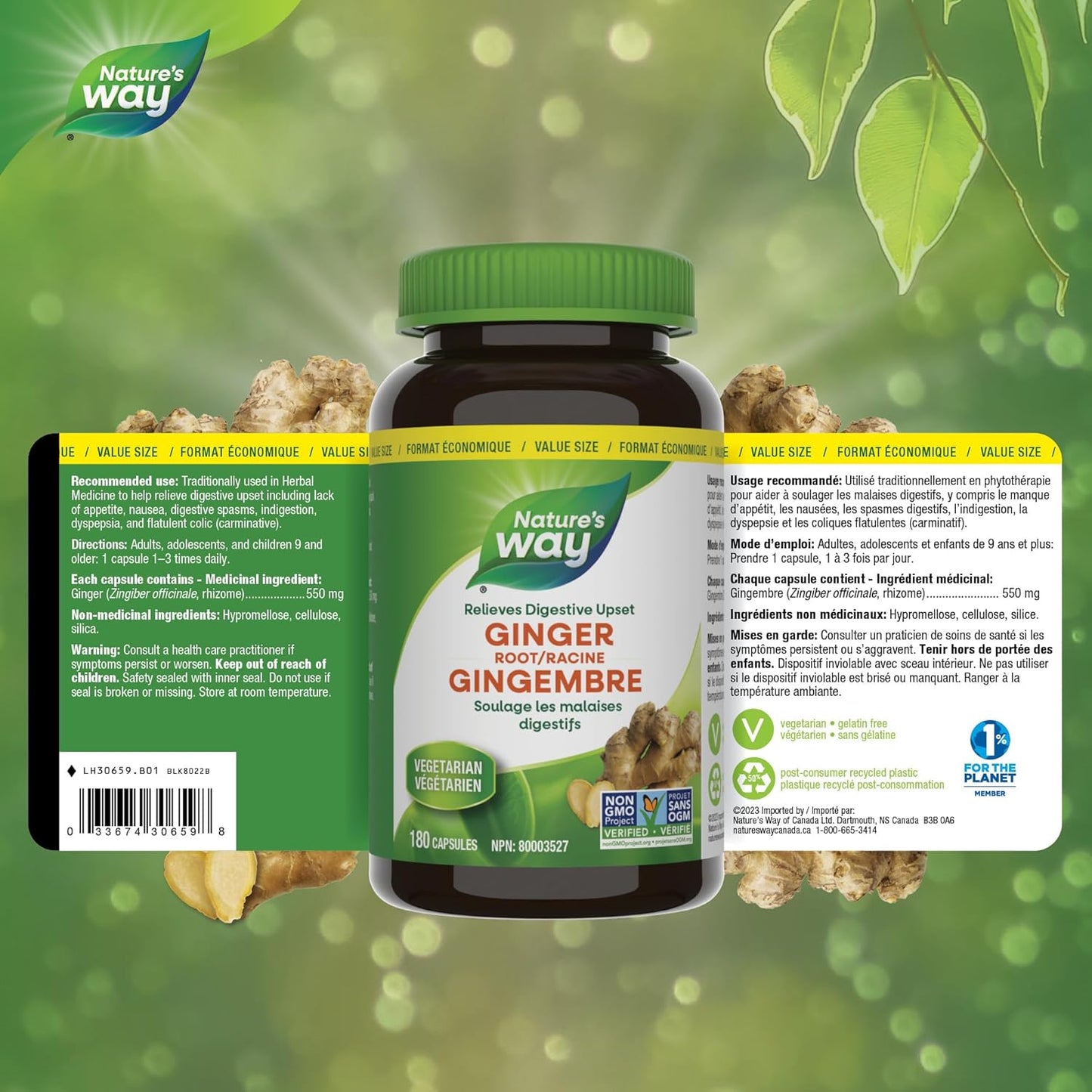 Nature's Way 薑根 – 傳統消化支持補充劑 – 用於草藥,幫助緩解消化不良 – 非基因改造 – 180 粒素食膠囊,超值裝