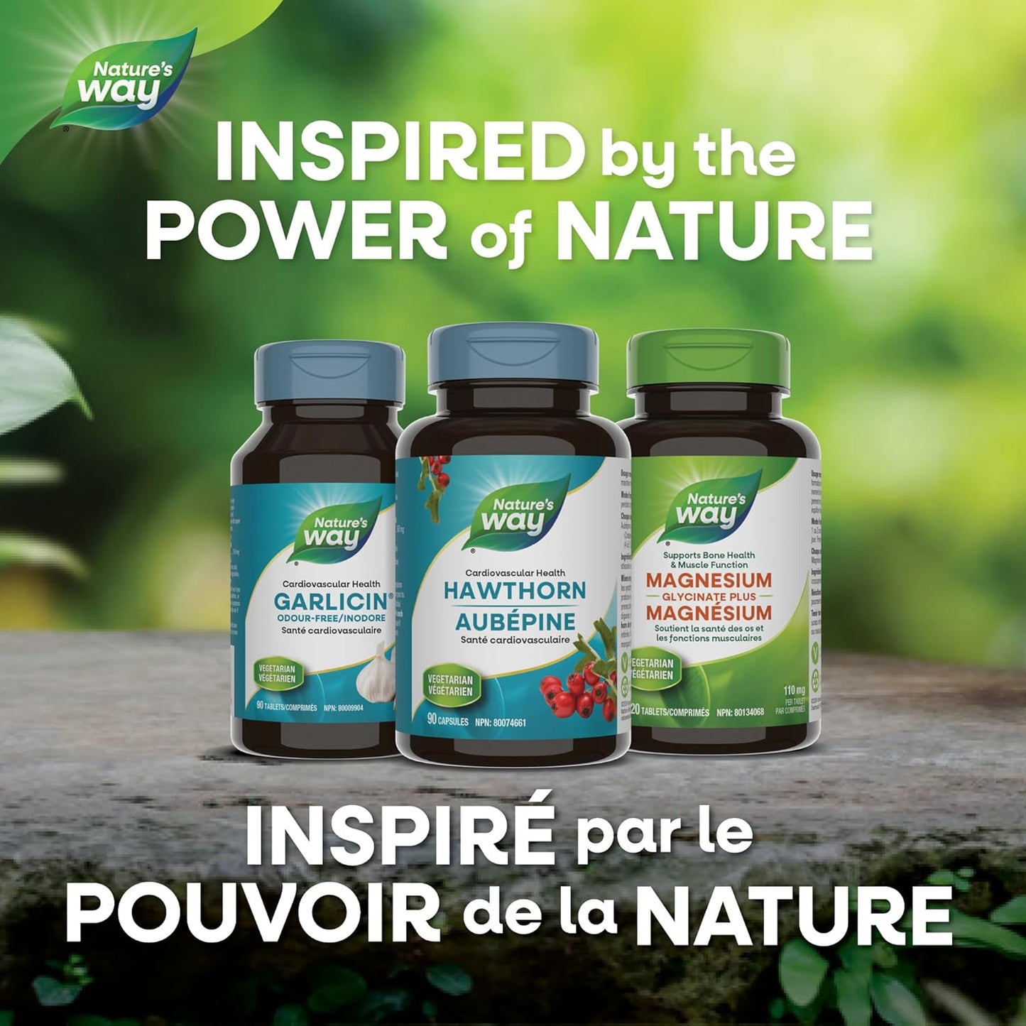 Nature's Way Premium Hawthorn Extract Capsules - Cardiovascular Health Support, Used in Herbal Medicine, 90 Vegetarian Capsules