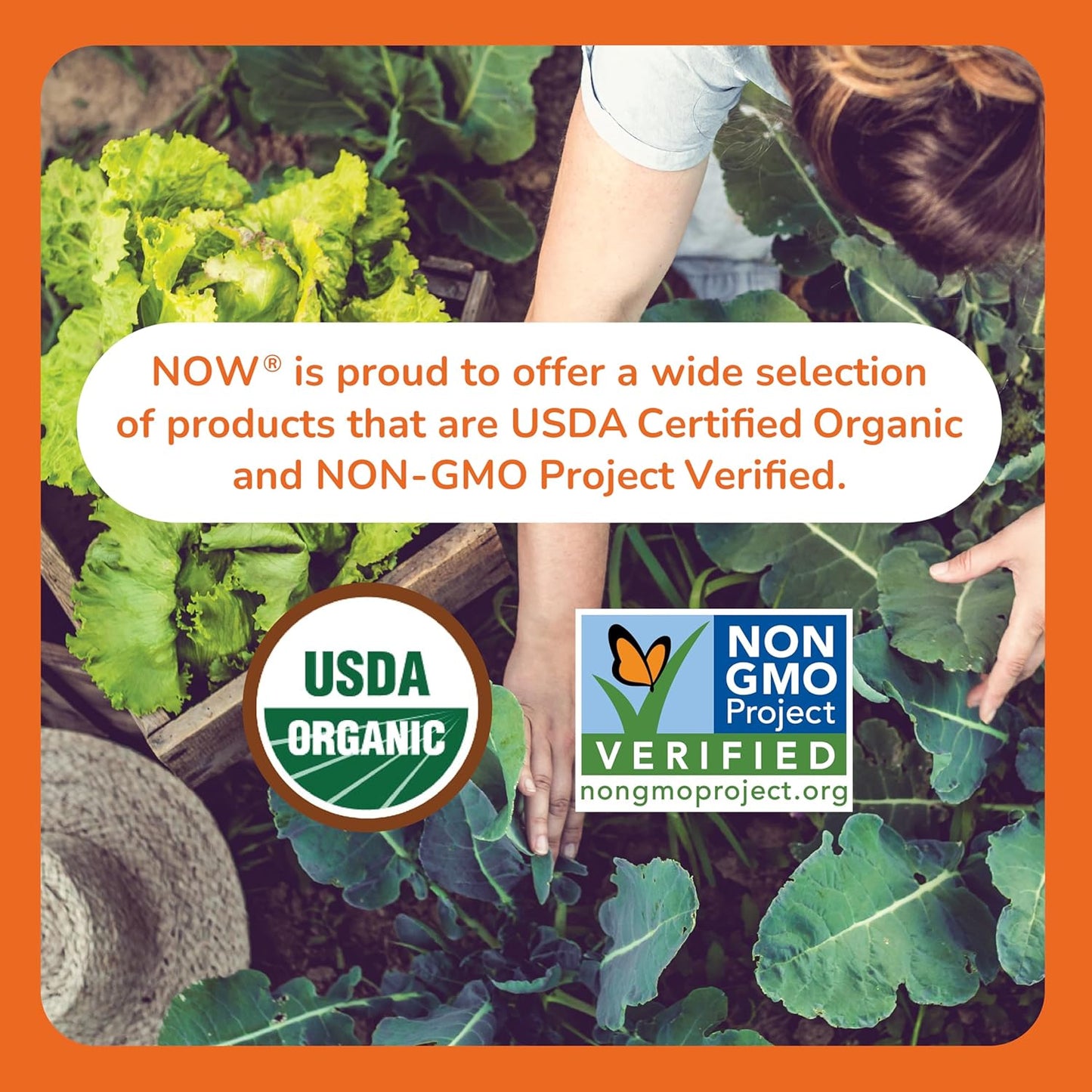 NOW Supplements, D-Mannose Powder, Non-GMO Project Verified, Healthy Urinary Tract*, 85g