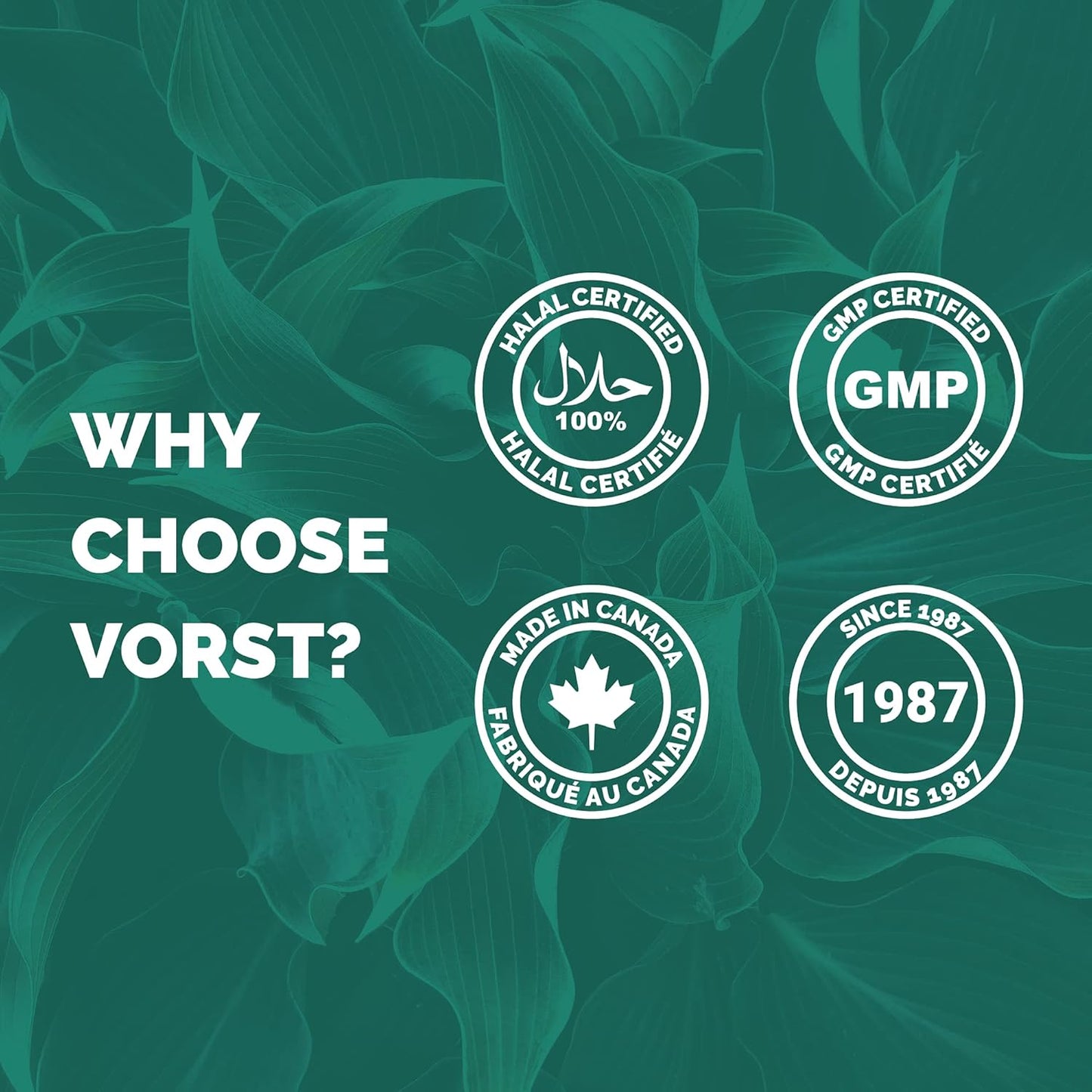 VORST 有机洋车前子壳粉 900 克 | 纤维混合泻药补充剂,用于便秘和腹泻 | 无糖无麸质纤维软便剂 | 可用于烹饪或烘焙的纤维 | GLP-1 支持 | 1 罐