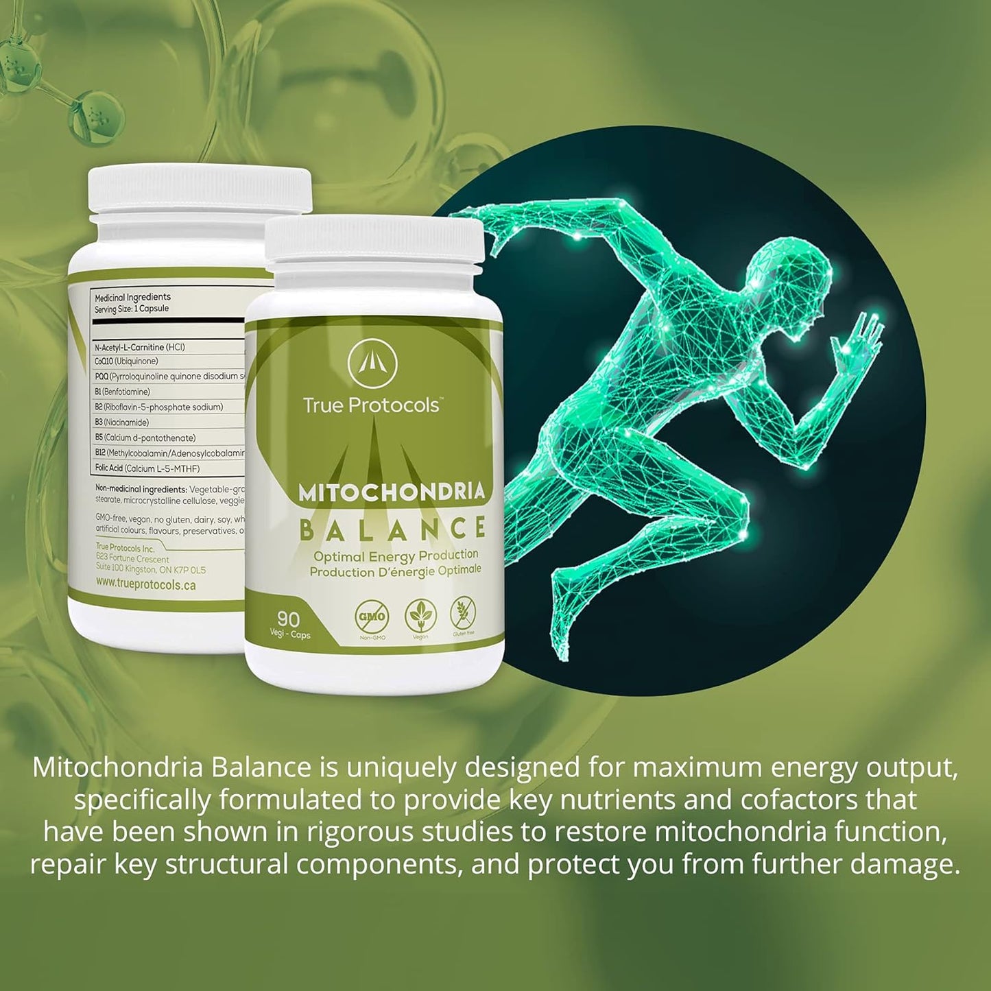 TRUE PROTOCOLS - 粒線體平衡 - 左旋肉鹼 (250 毫克) + 輔酶 Q10 (100 毫克) + PQQ (2.5 毫克) + 維生素 B1、B2、B3、B5、B12 + 葉酸 - 90 粒非瀉藥和高吸收素食膠囊 - 恢復粒線體功能 + ...