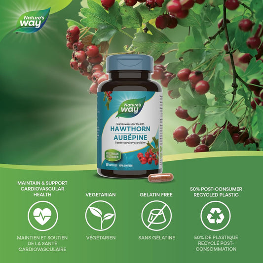 Nature's Way Premium Hawthorn Extract Capsules - Cardiovascular Health Support, Used in Herbal Medicine, 90 Vegetarian Capsules
