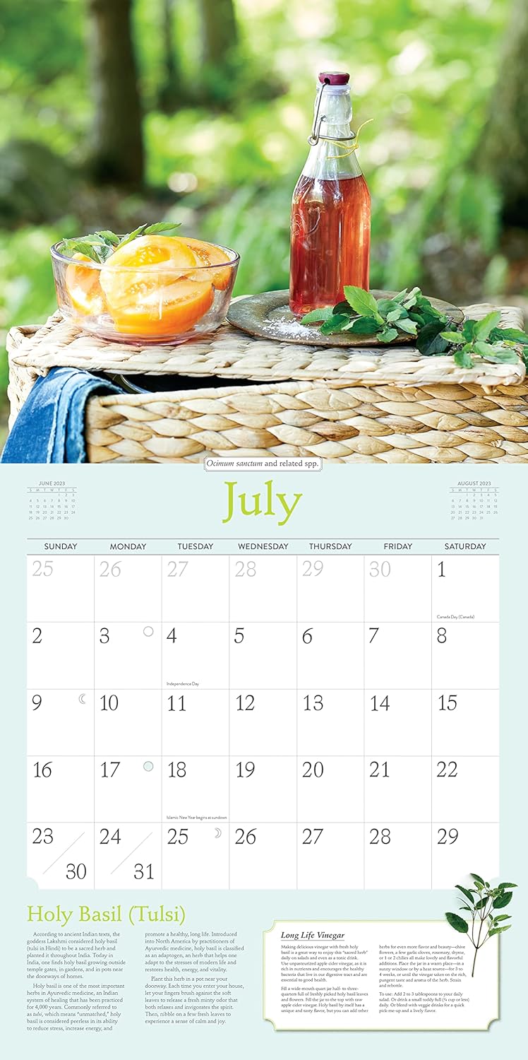 羅斯瑪麗·格拉德斯塔的2023年草藥掛曆:健康與家居食譜和療法