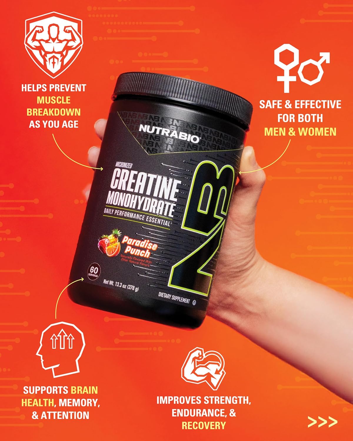 NutraBio Pure Micronized Creatine Monohydrate Powder Supplement,Paradise Punch Burst,(378g)