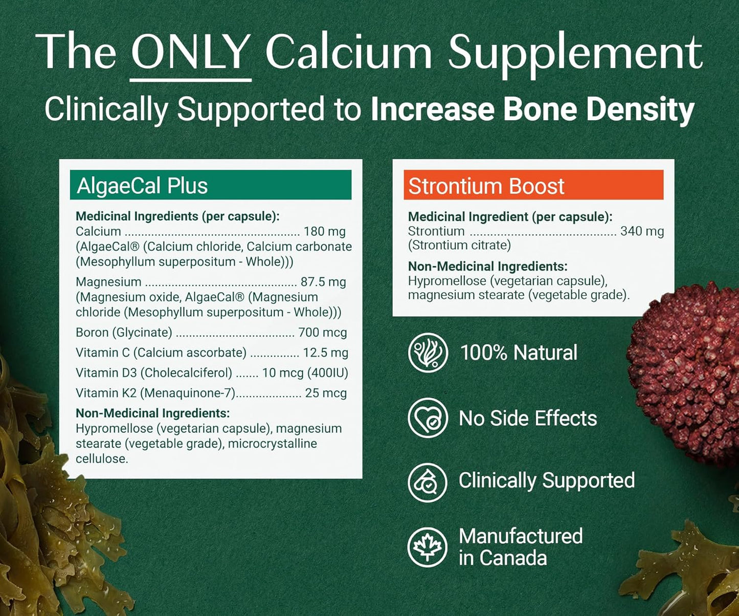 AlgaeCal - Bone Builder Pack for Bone Density, Clinically Supported Plant Based Calcium & Strontium Supplement with Vitamin D3, K2, Magnesium & Trace Minerals for Bone Health, 3 pack, Made in Canada