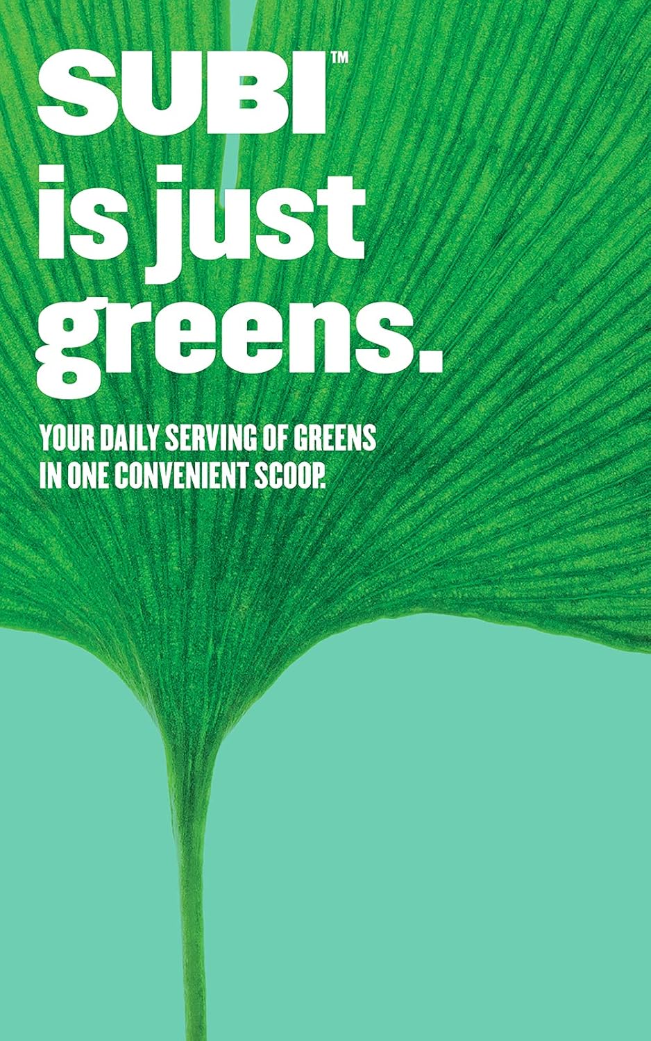 SUBI Greens 超級食品粉每日蔬菜粉,1 袋可容納 20 多磅水果和蔬菜,加拿大製造,超級食品成分:抹茶、羽衣甘藍、大麥草、螺旋藻、巴西莓、枸杞 - 40 天供應量