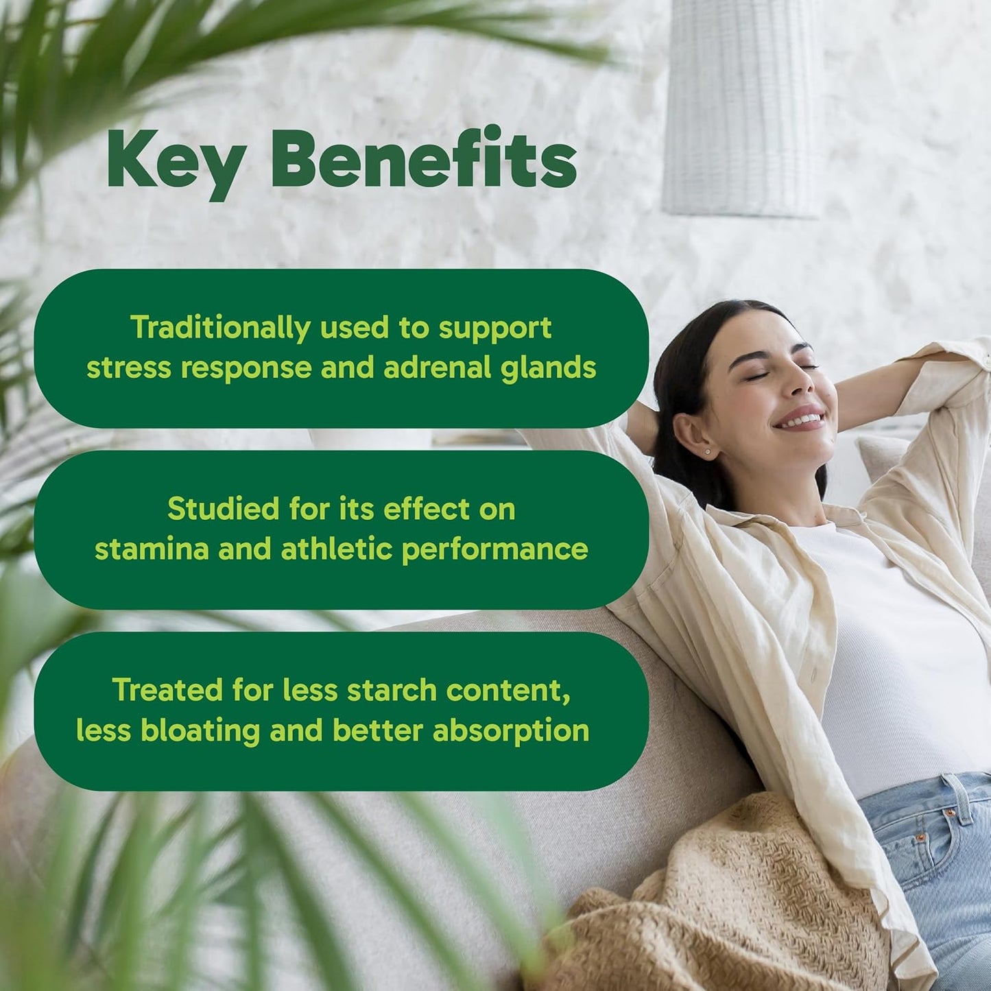 Organika 加拿大制造玛卡 4:1 强度 180 粒素食胶囊 - 3000 毫克 | 高生物利用度配方,适应原有助于缓解压力、平衡能量和荷尔蒙