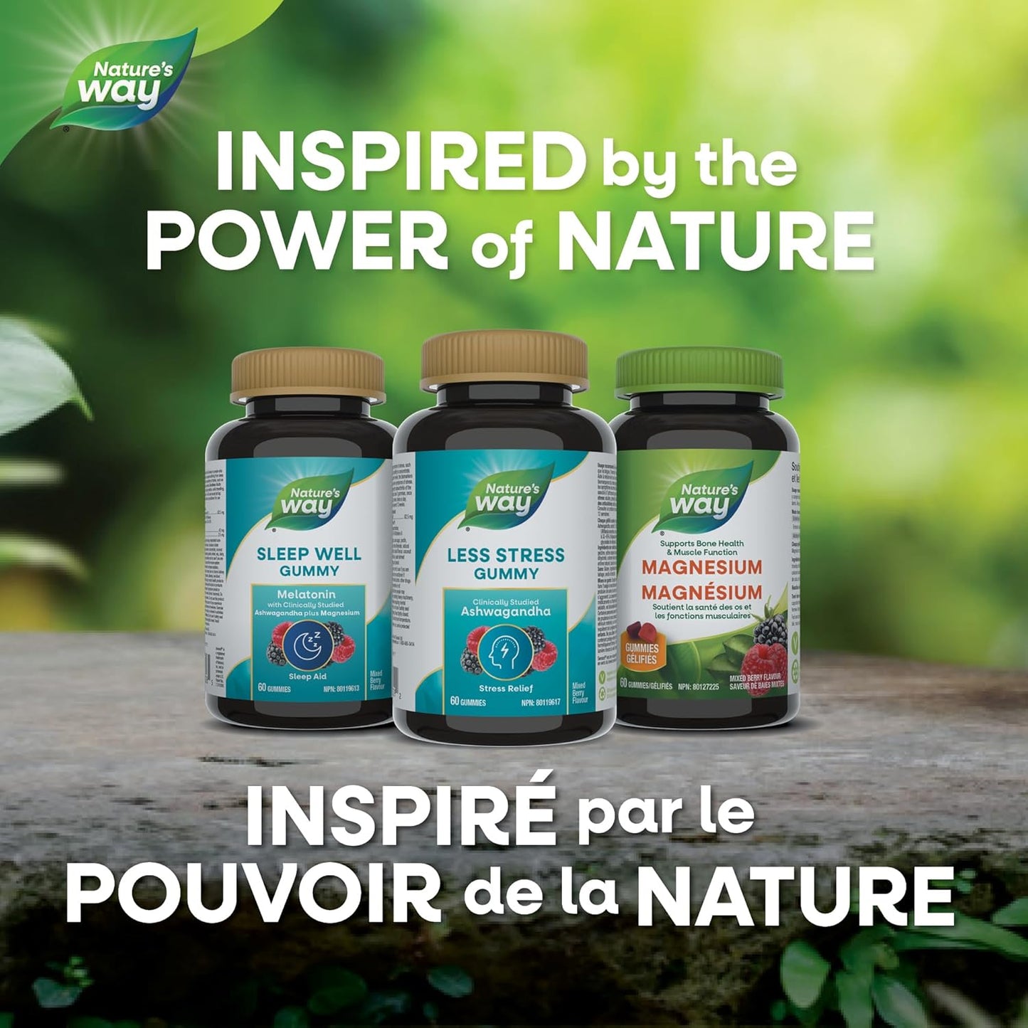 Nature’s Way 舒缓压力南非醉茄软糖 – 成人压力缓解补充剂 – 经临床研究,Sensoril® 南非醉茄,减轻压力症状,天然混合浆果口味,60 粒素食软糖