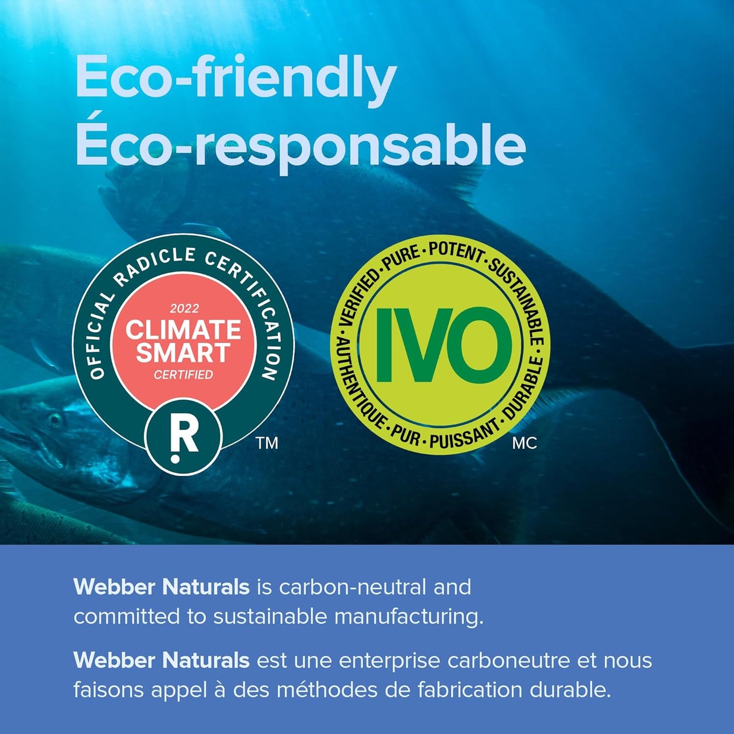 Webber Naturals Plant-Based Omega-3, 60 Softgels, Fish-Free Source of Omega-3, From Sustainably Cultivated Algae, Vegan