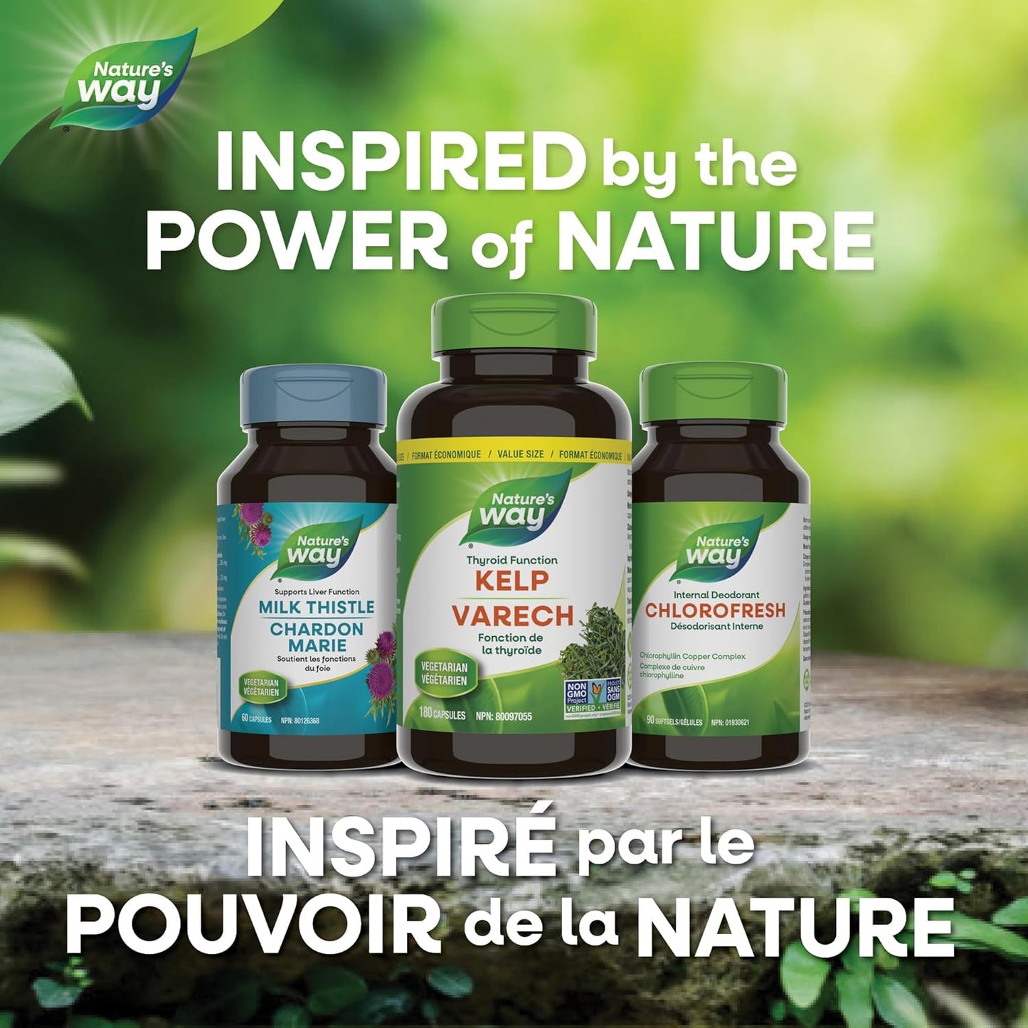 Nature’s Way 海帶 - 海帶碘補充劑,支持甲狀腺功能 - 非基因改造 - 180 粒素食膠囊,超值裝