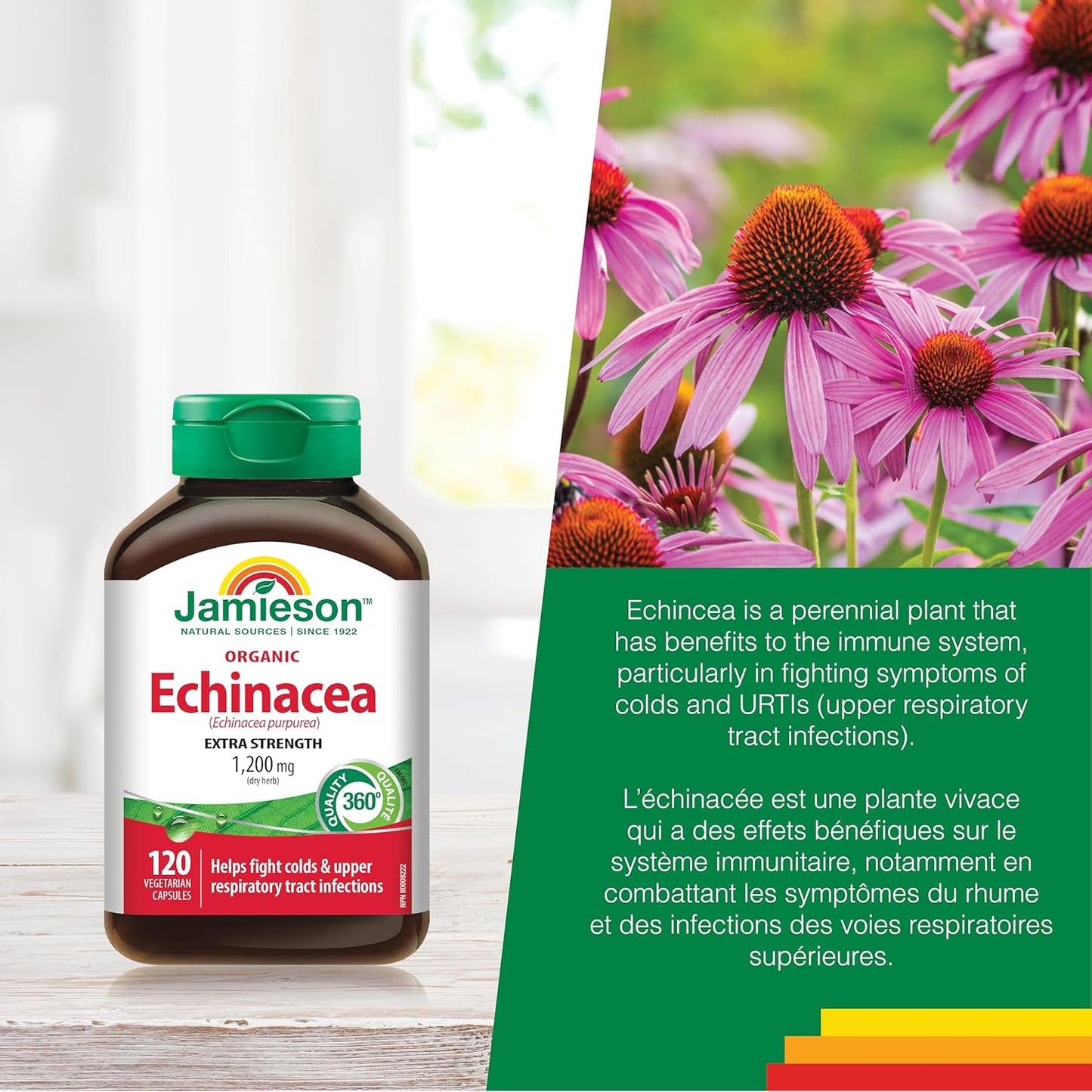 Jamieson Organic Echinacea 1,200 mg Vegetarian Capsules, Extra Strength, Provides Support Against Colds, and Upper Respiratory Tract Infections. With Echinacea pupurea, Non-GMO, Gluten-Free, 120 Count, Proudly Canadian