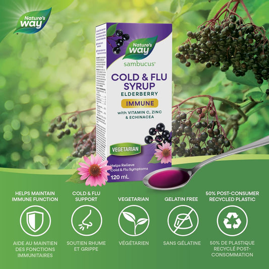 Nature's Way 接骨木感冒和流感护理免疫维生素 C 和锌 - 接骨木糖浆与紫锥菊和蜂胶 - 用于缓解 2 岁以上儿童和成人症状的草药,120 毫升