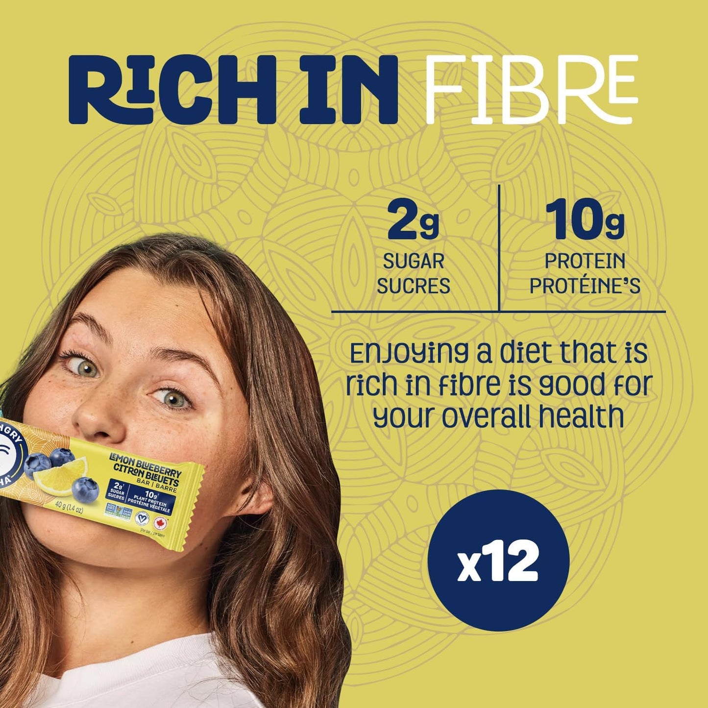 HUNGRY BUDDHA Plant-Based Protein Bars, Low Sugar, High Protein Energy Snack, Dairy-Free & Peanut-Free, Pack of 12, Lemon Blueberry