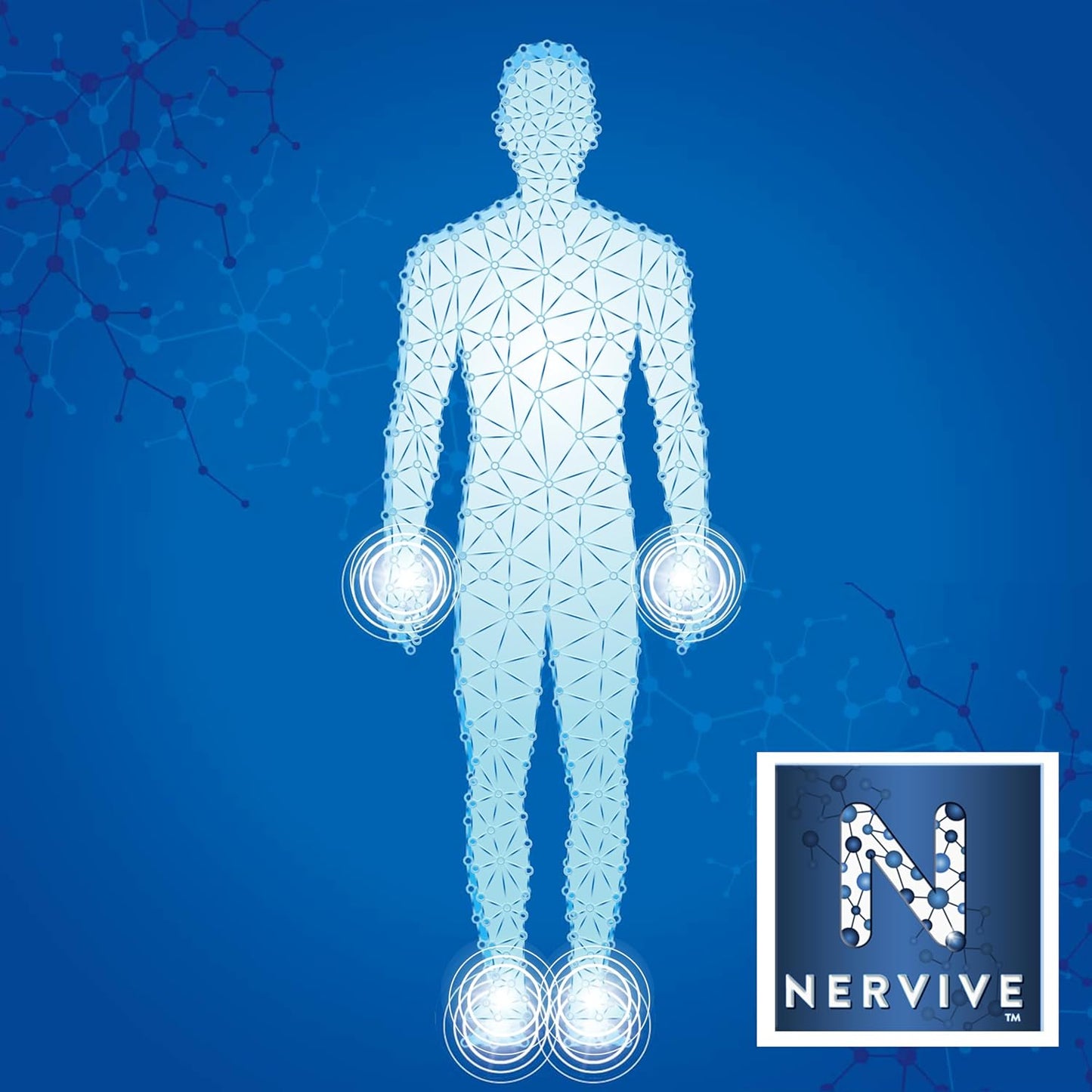 Nervive 神經健康,適用於神經系統,α-硫辛酸、ALA、維生素 B1-硫胺素、B6、B12,30 天用量,30 粒