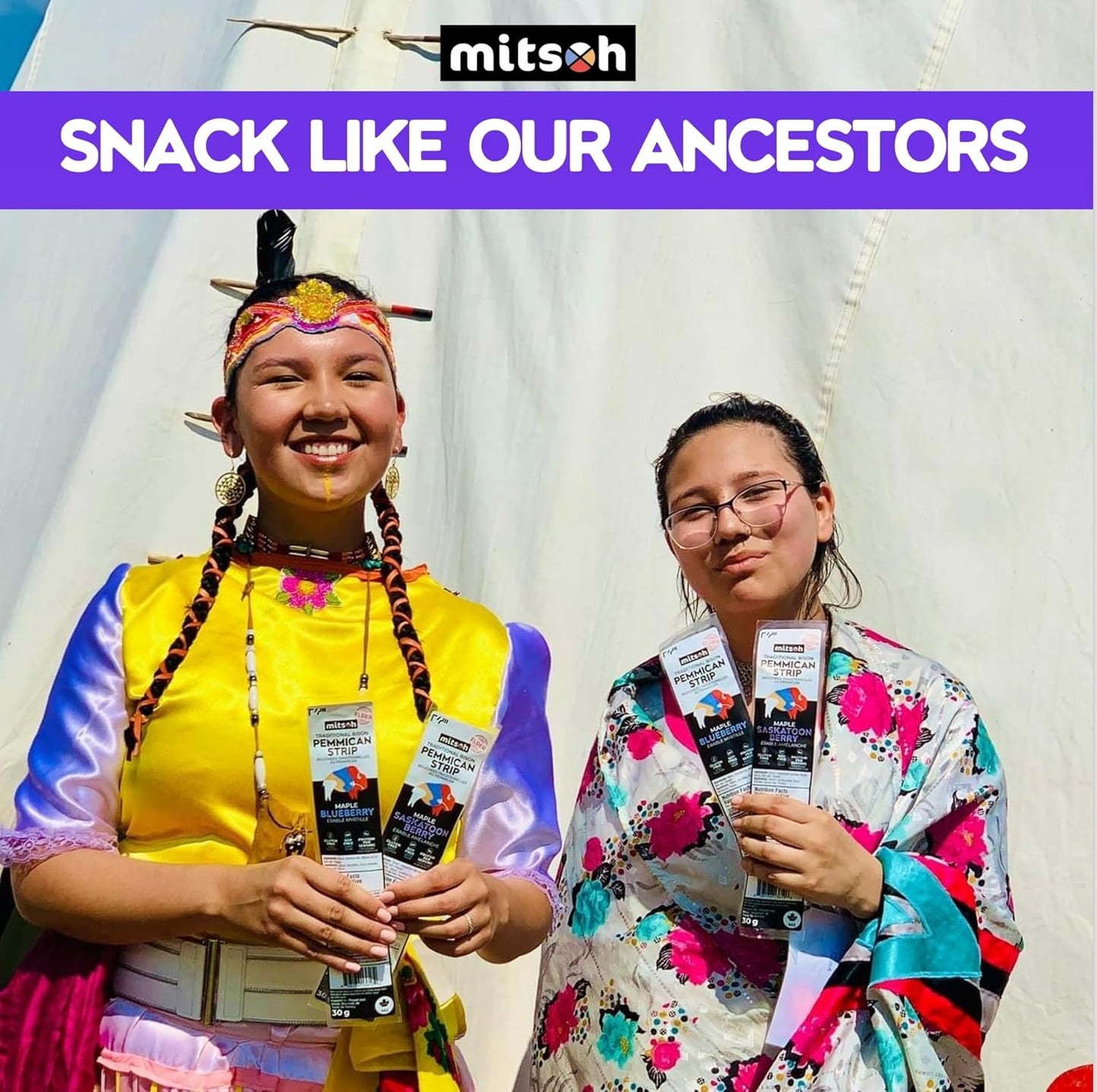 Bison Blueberry Pemmican Meat Snack | Indigenous Superfood | Made w/Grass-Fed Bison | Canadian, Indigenous-Owned | High Protein, Gluten-Free, Soy-Free, 4-Pack