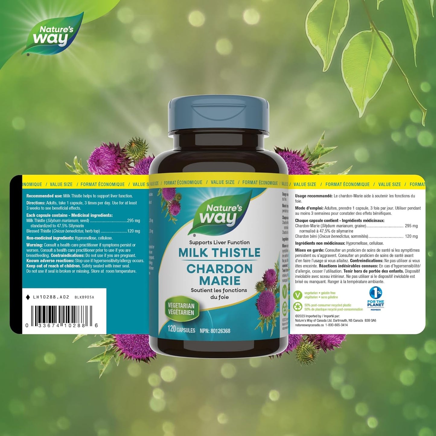 Nature’s Way 奶蓟草 – 肝功能支持与保护剂,295毫克奶蓟草,120粒素食胶囊 – 有益肝脏健康的草本补充剂,不含麸质