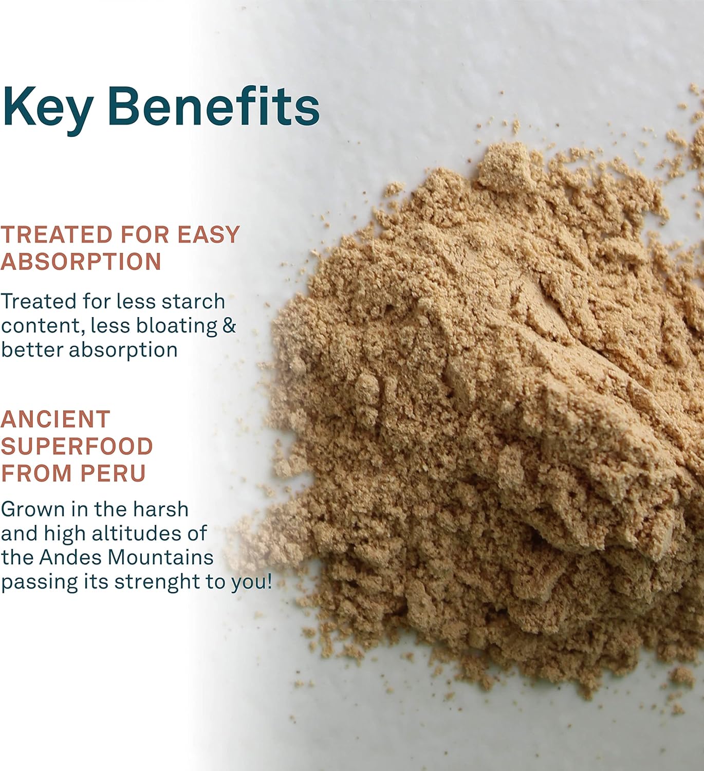 Organika Maca Certified Organic Powder- Gelatinized for High Bioavialability, Hormone Balance & Enhanced Collagen Peptides Protein Powder For Healthy Hair, Skin, Nails