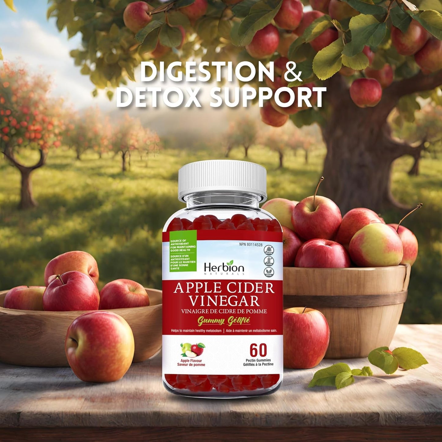 Herbion Naturals 苹果醋软糖,含叶酸、石榴、甜菜根和维生素 B12,是维持身体健康和新陈代谢的抗氧化剂来源,成人适用,60 粒果胶软糖,苹果味