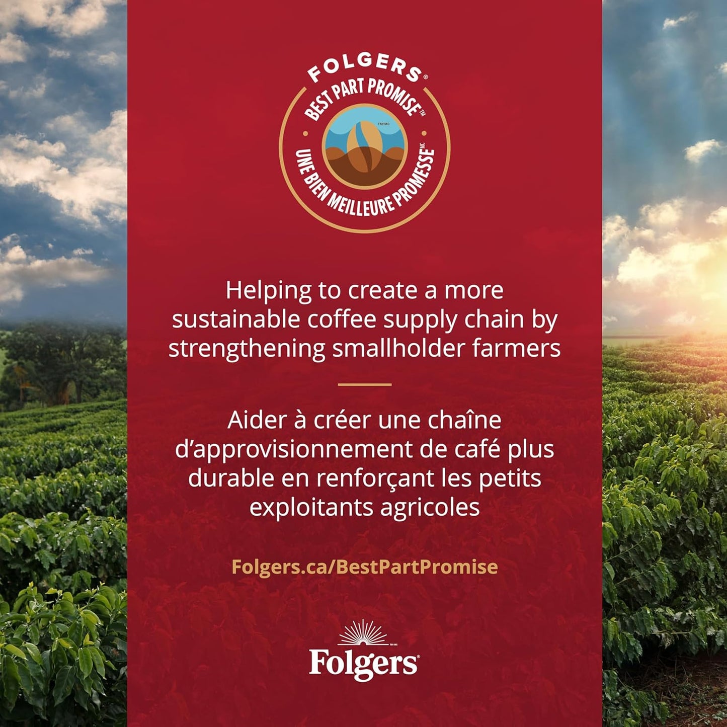 Folgers 速溶咖啡包,适用于热饮或冷饮混合饮料,速溶经典中度烘焙咖啡,7 包(12 包)
