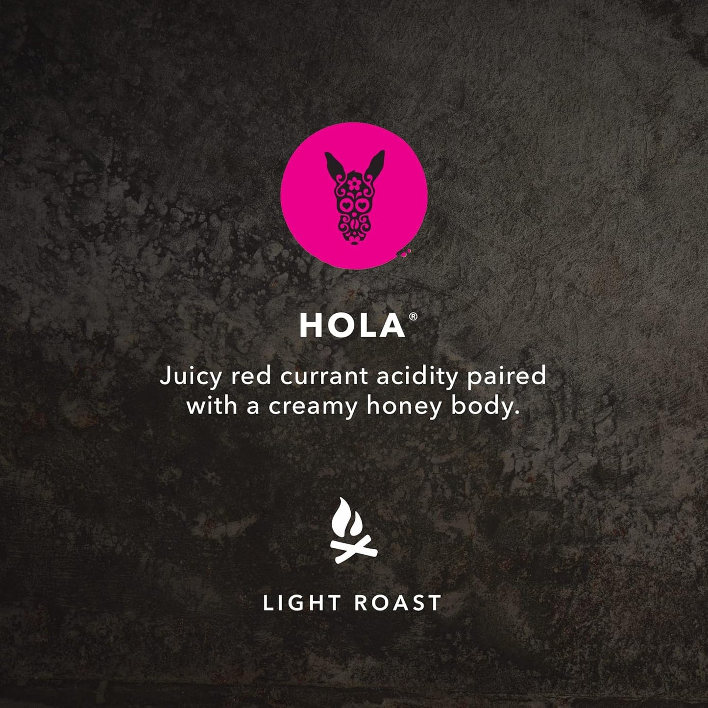 Kicking Horse Coffee,Three Sisters,中度烘焙,研磨,284 克 - 有机认证、公平贸易、犹太洁食 Coffee & Hola,轻度烘焙,研磨,284 克 - 有机认证、公平贸易、犹太洁食 Coffee