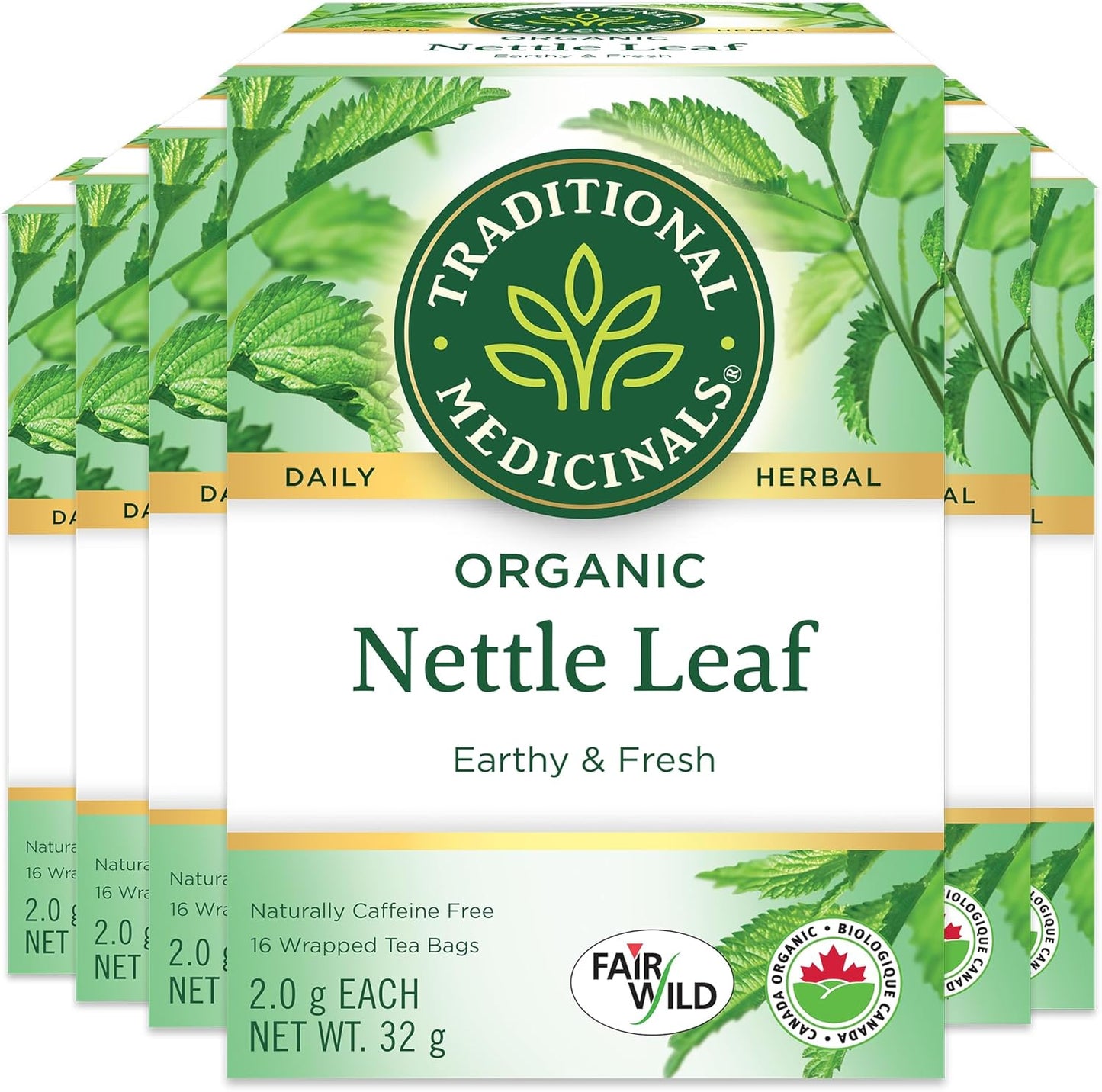 Traditional Medicinals - Organic Nettle Leaf Herbal Tea (Pack of 6) - Sustainably Sourced Fair Wild Nettle - 96 Tea Bags Total