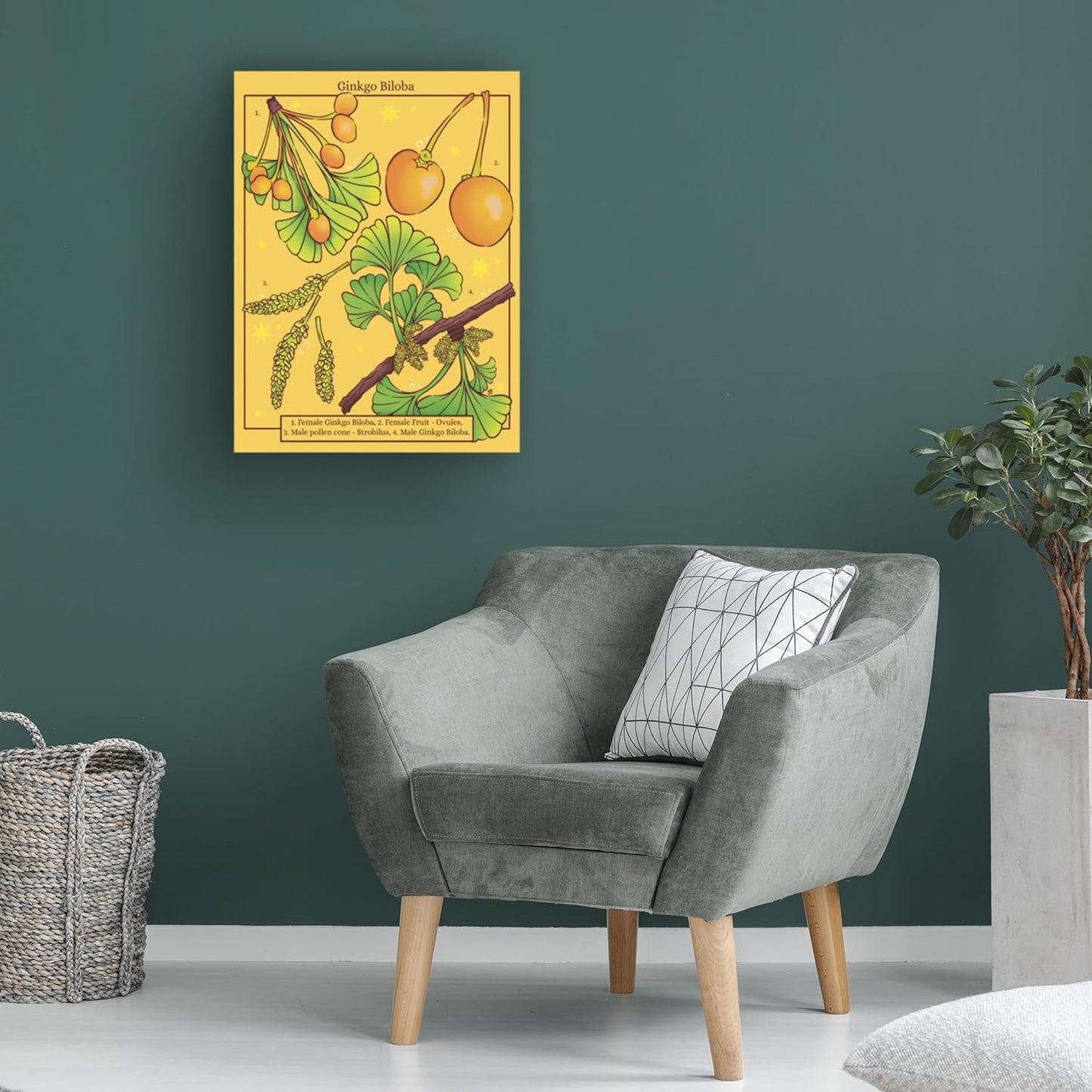 Trademark Fine Art Canvas Wall Art - Rachel Feirman 'Ginkgo Biloba' Wall Art for Living Room, Bedroom, or Office Décor