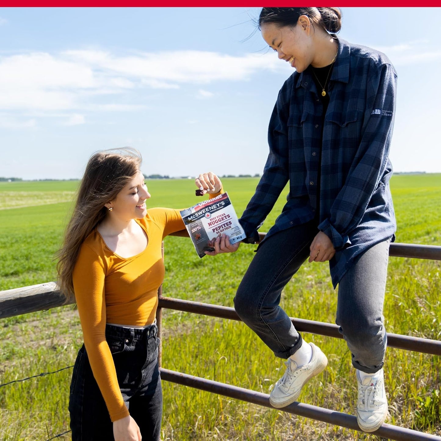 McSweeney's Original Beef Steak Nuggets Box. 100% Made in Canada, High Protein Snacks, Gluten Free, Low Fat, Meat Snacks, Naturally Smoked, Shelf Stable, Bulk Case 85g (Pack of 12)