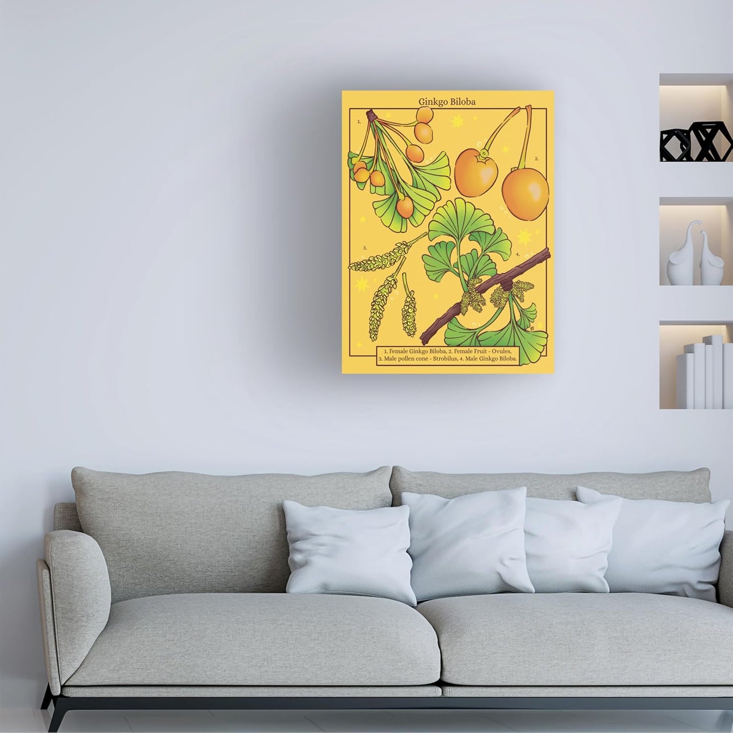 Trademark Fine Art Canvas Wall Art - Rachel Feirman 'Ginkgo Biloba' Wall Art for Living Room, Bedroom, or Office Décor