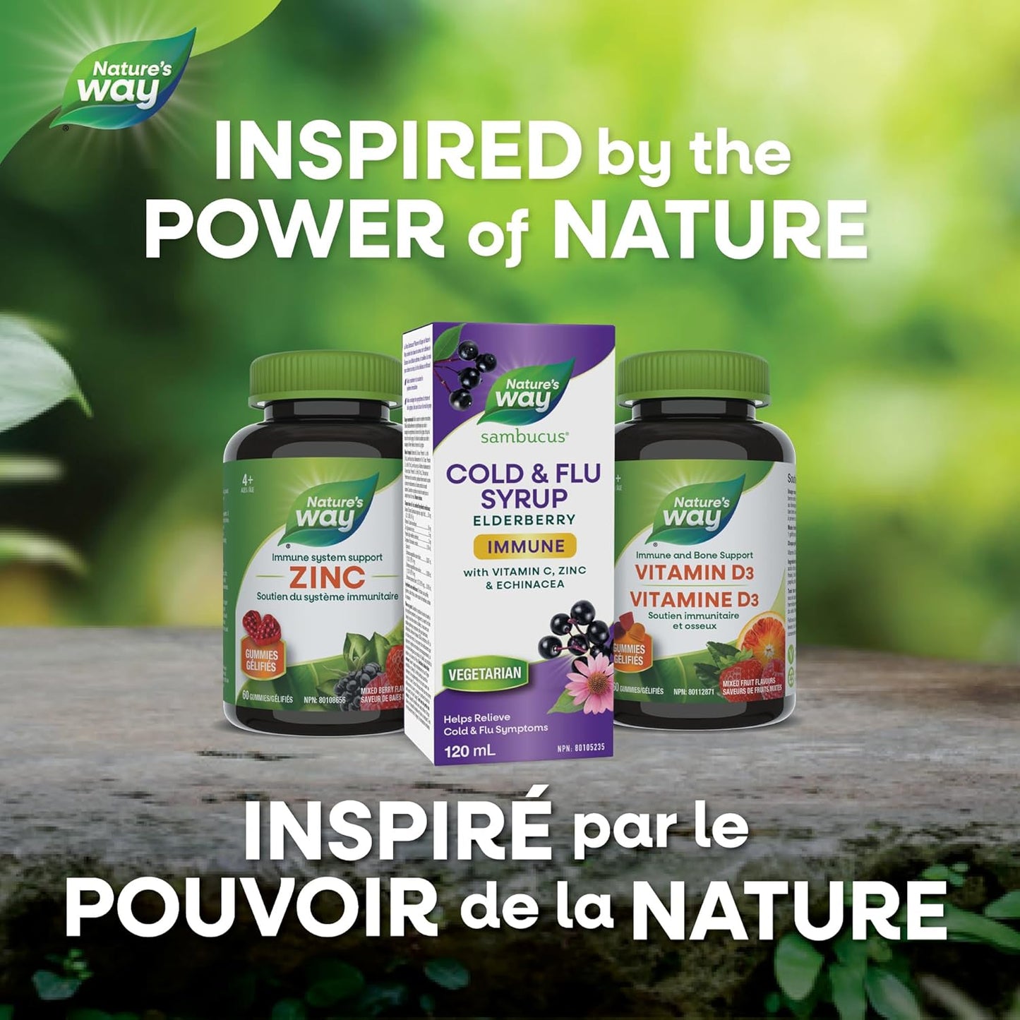 Nature's Way 接骨木感冒和流感护理免疫维生素 C 和锌 - 接骨木糖浆与紫锥菊和蜂胶 - 用于缓解 2 岁以上儿童和成人症状的草药,120 毫升