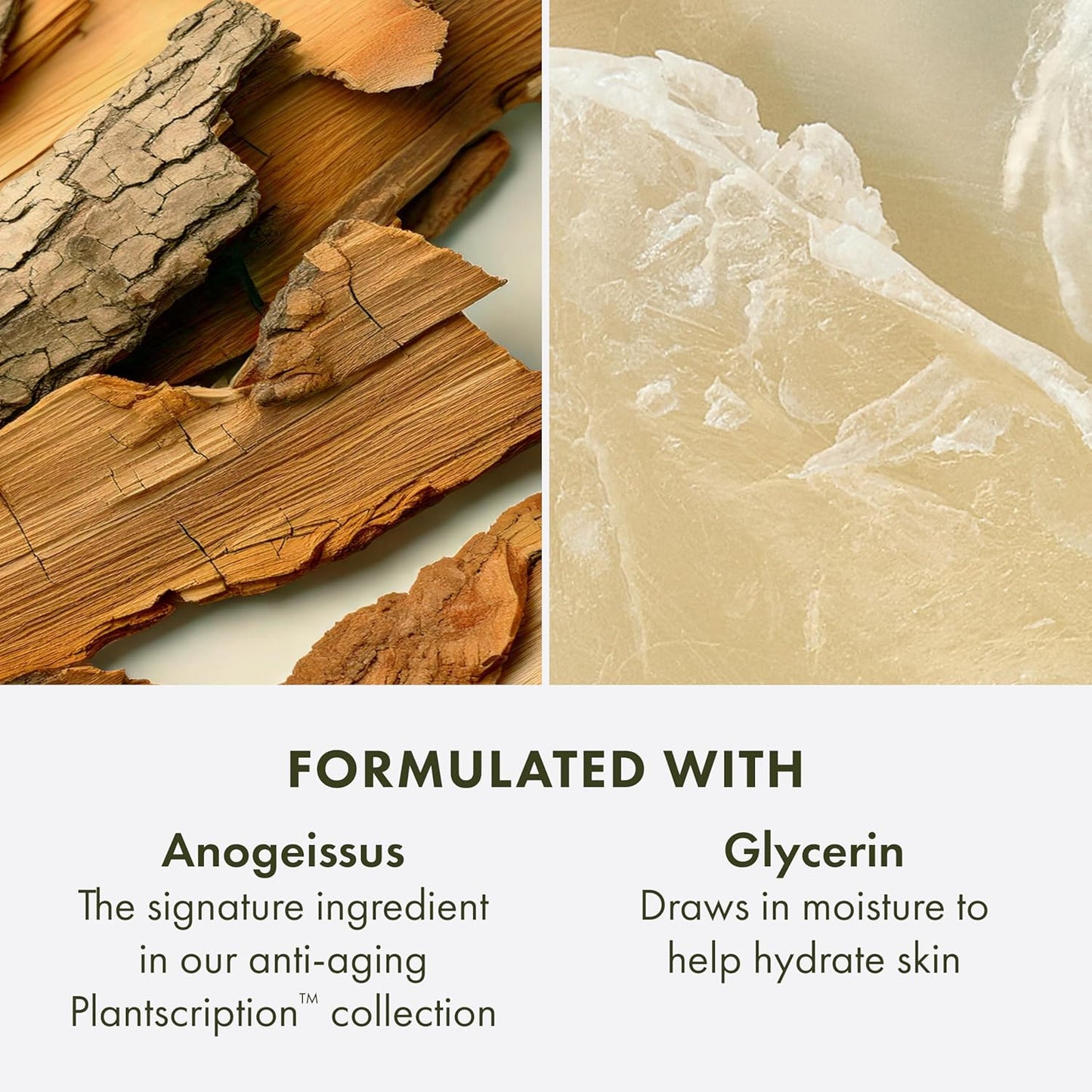 Origins Plantscription Anti-Aging Cleanser | Face Wash For All Skin Types | With Glycerin & Anogeissus, 150 ml