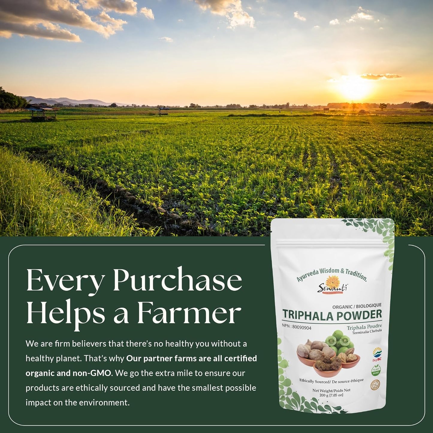 Organic Triphala Powder 200g/NPN 80090904/ Amalaki - Phyllanthus Emblica Bibhitaki - Terminalia Bellirica Haritaki - Terminalia Chebula