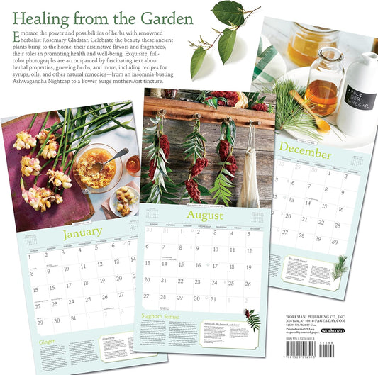 Rosemary Gladstar's Herbs Wall Calendar 2023: Recipes and Remedies for Health and Home
